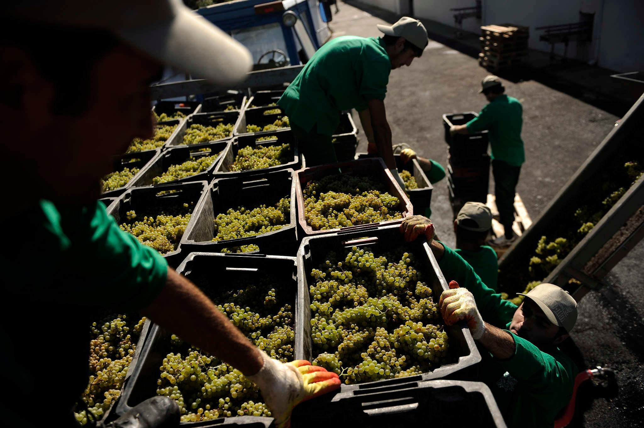 Абрау-Дюрсо. Репортажный фотограф в Сочи — Михаил Мордасов