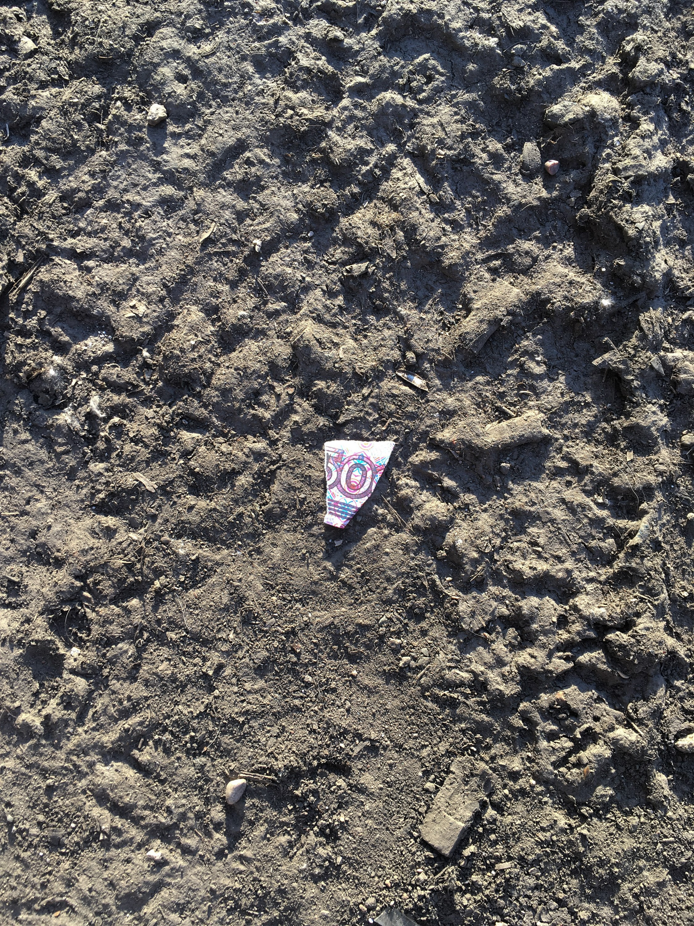 Предвзятая действительность. Дима Птицын