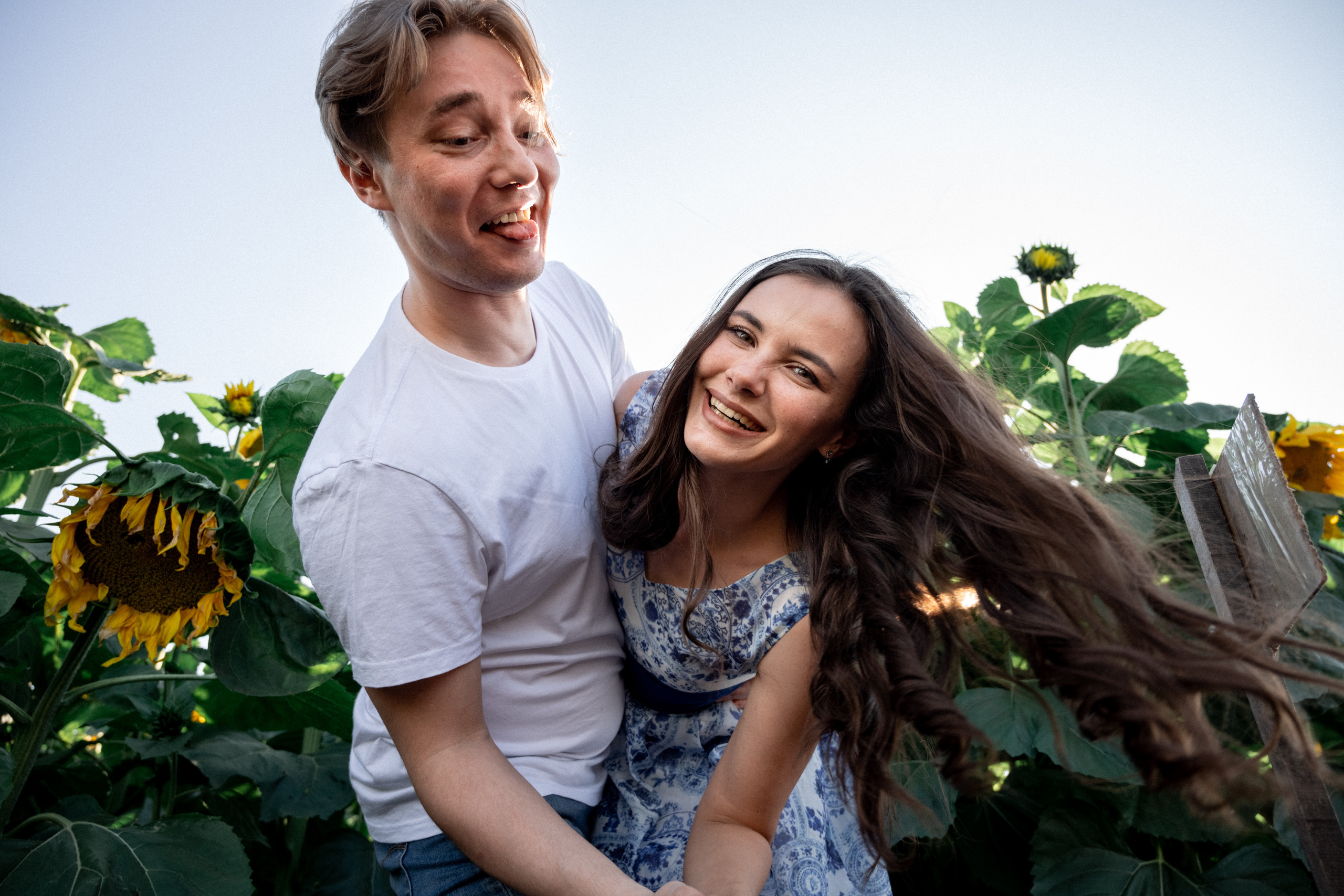 Лавстори в подсолнухах и пшеничных полях в Красноярске