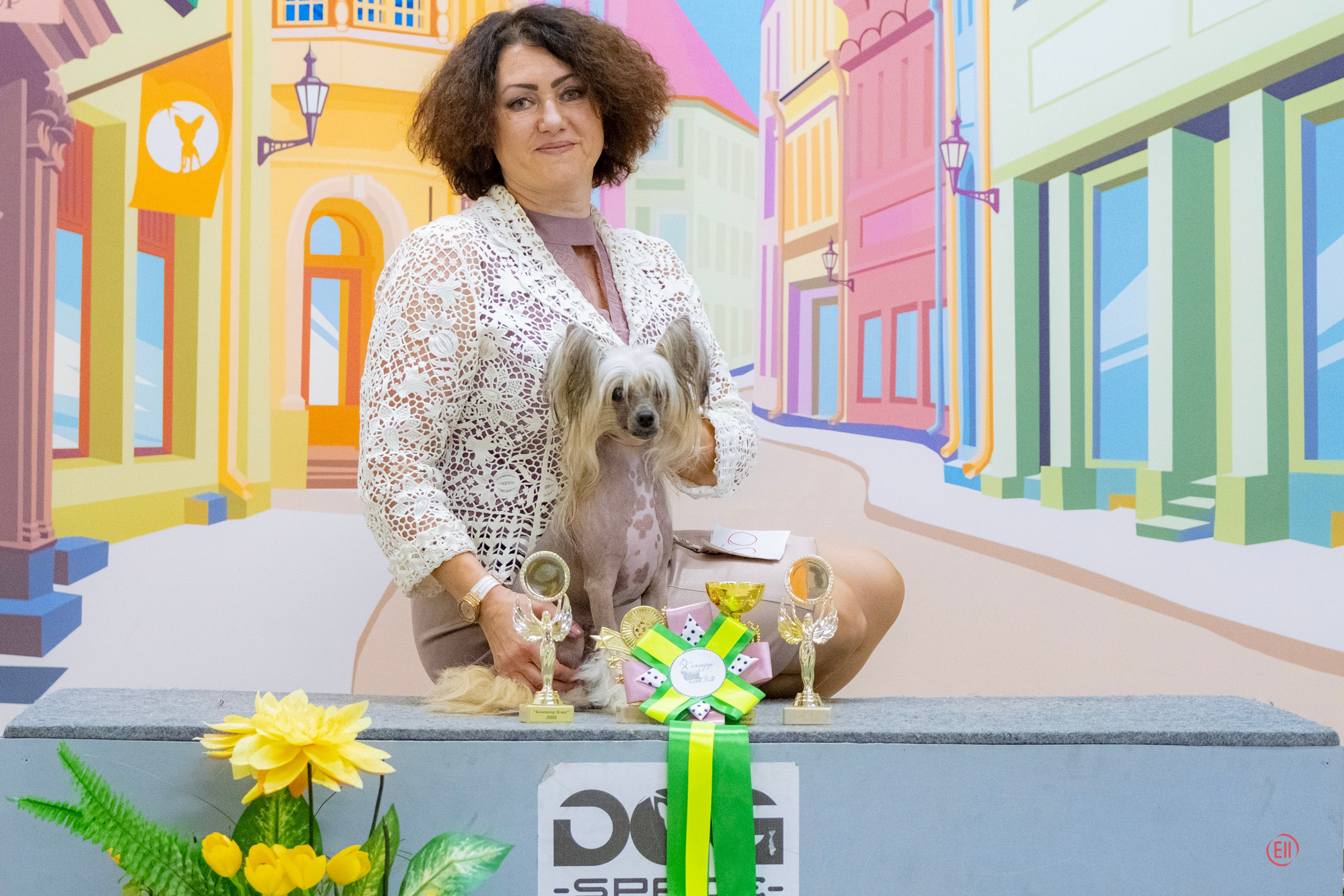 Честер BOB, BIG 2. Мы посетили две выставки. Питомник китайских хохлатых собак Poale Ell: купить щенка