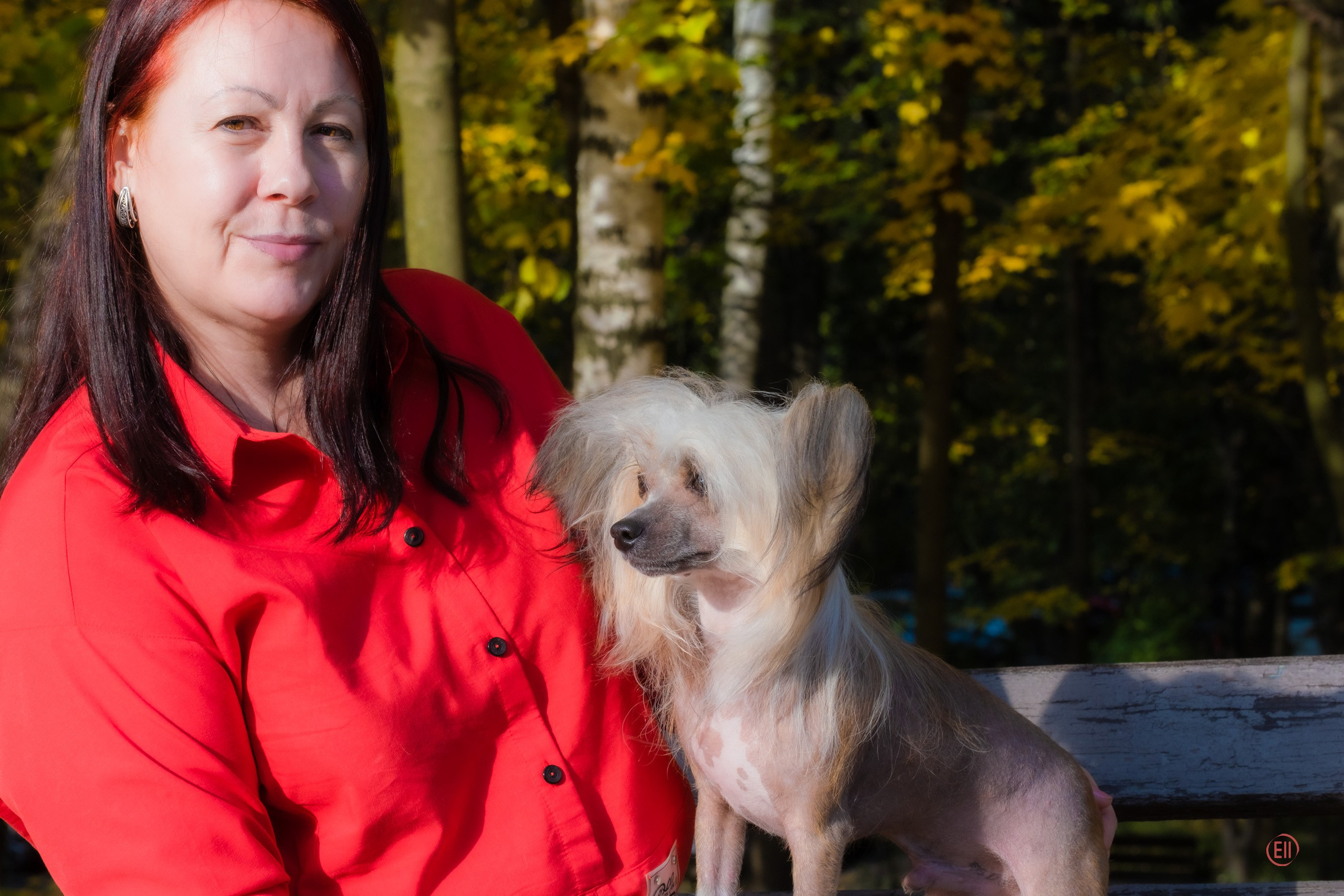 Poale Ell Clare — Junior Champion of Russia. Chinese Crested Dog Kennel Poale Ell