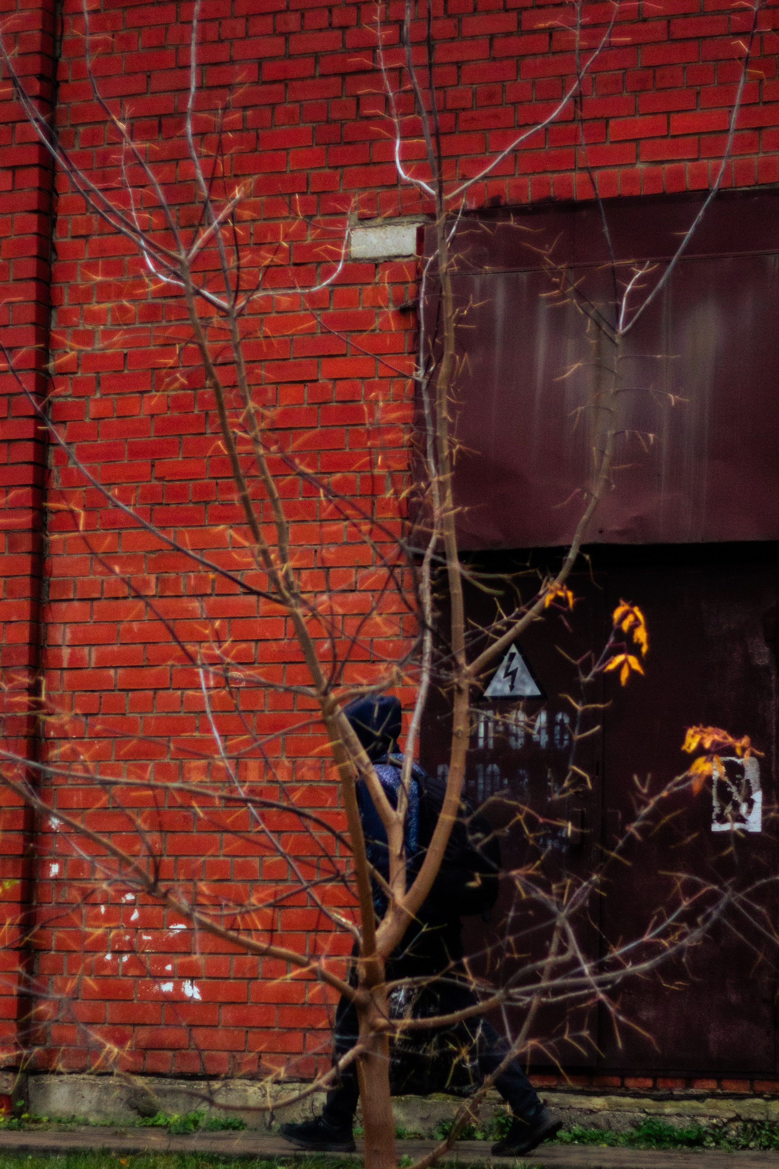 Осень в Москве. Фотограф Москва, портрет, стрит, репортаж. Художественная фотосессия
