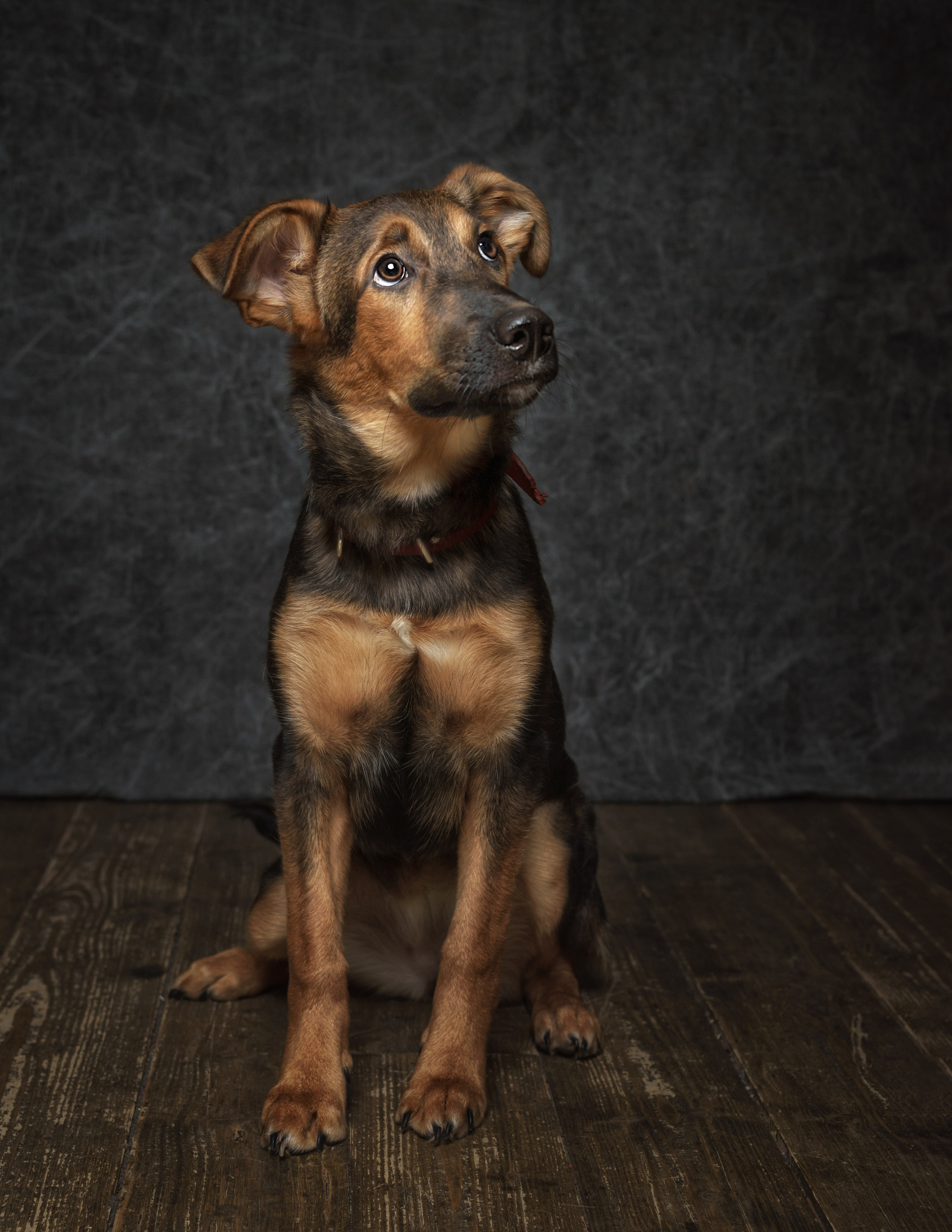 ДРУГ, НАЙДИСЬ. Антон Тимошевский, профессиональный портретный фотограф в Москве и Орле