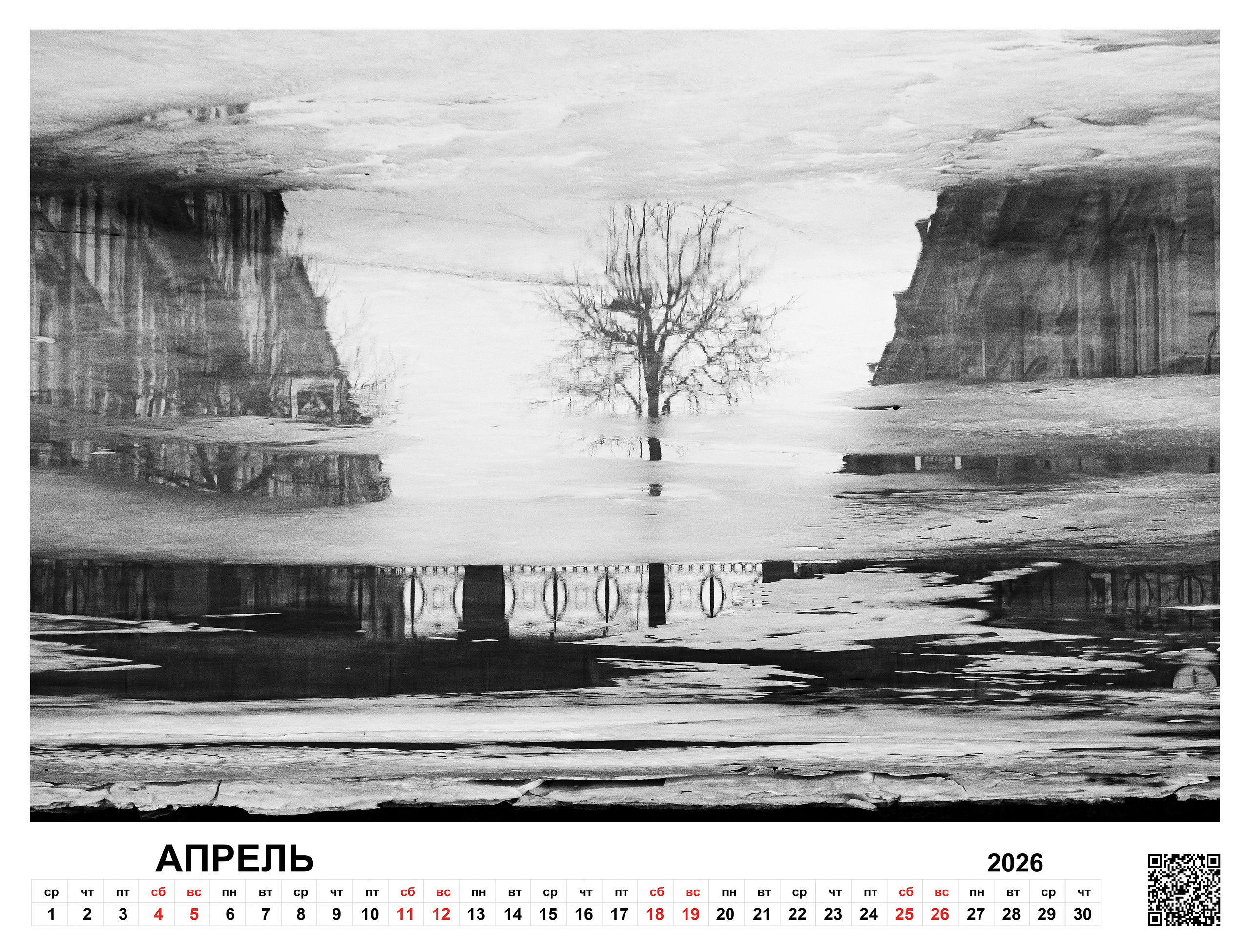 Order. Dimitri Bakhtadze photographer