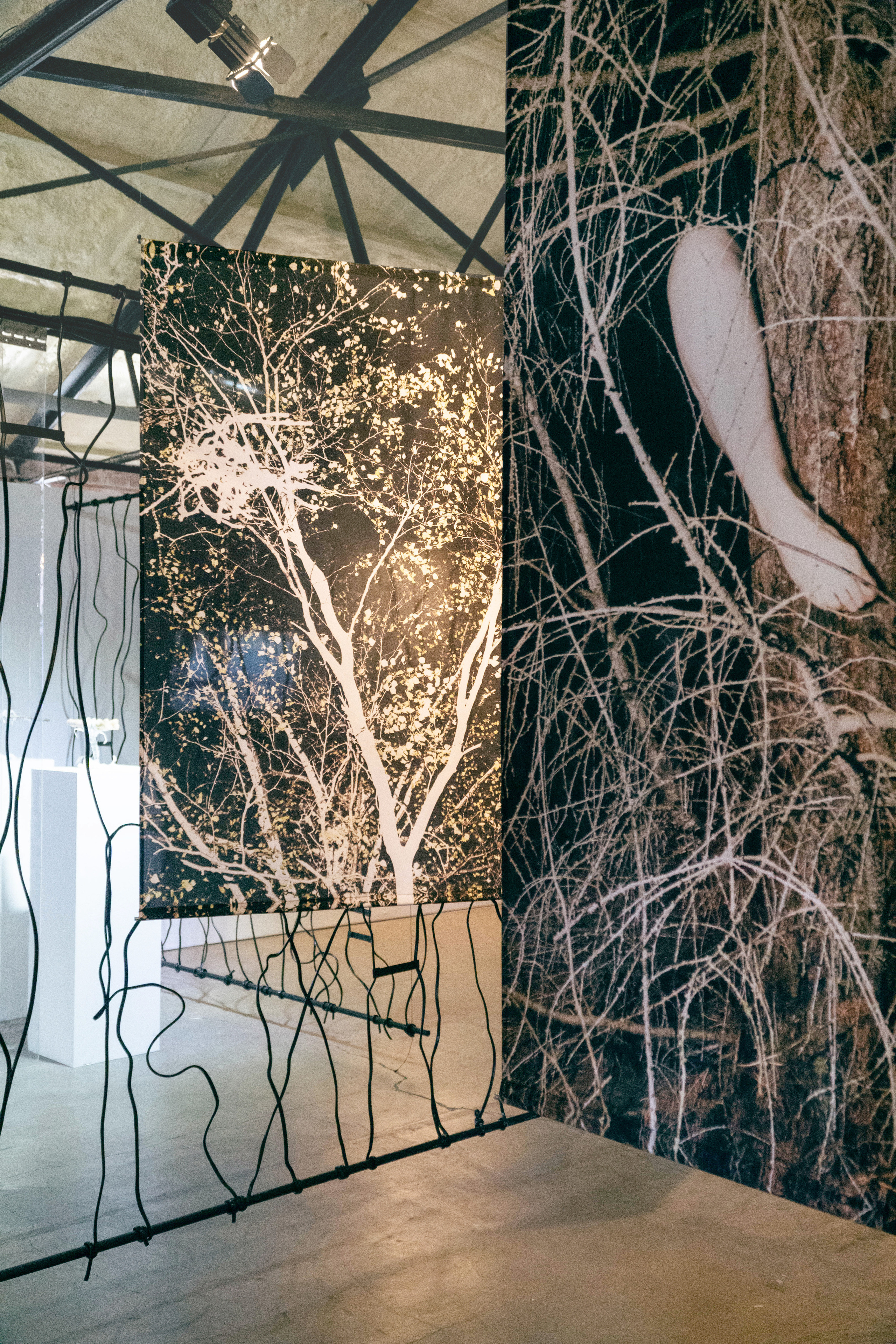 Installation views of Assemblage project on NOVA ART exhibition