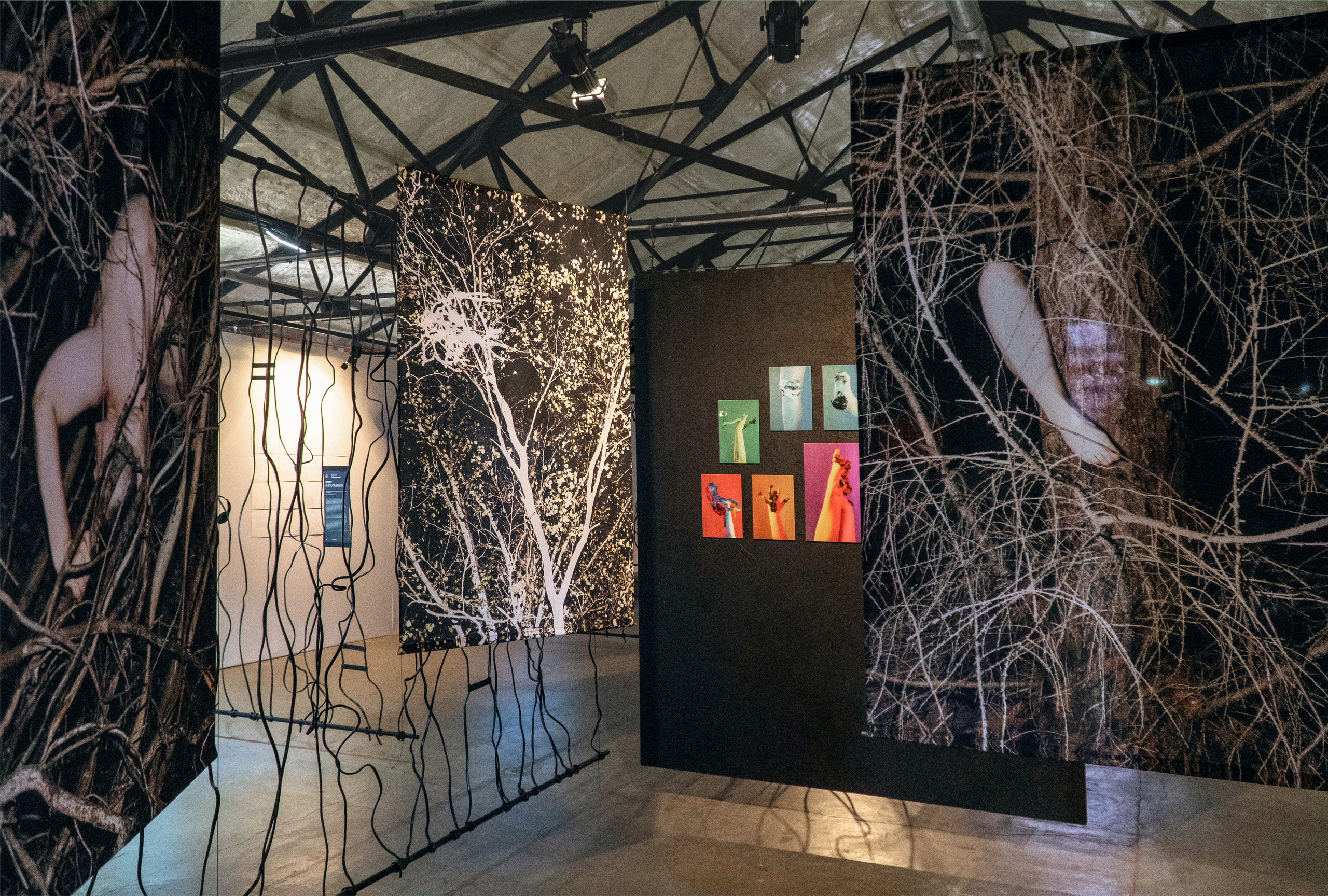 Installation views of Assemblage project on NOVA ART exhibition