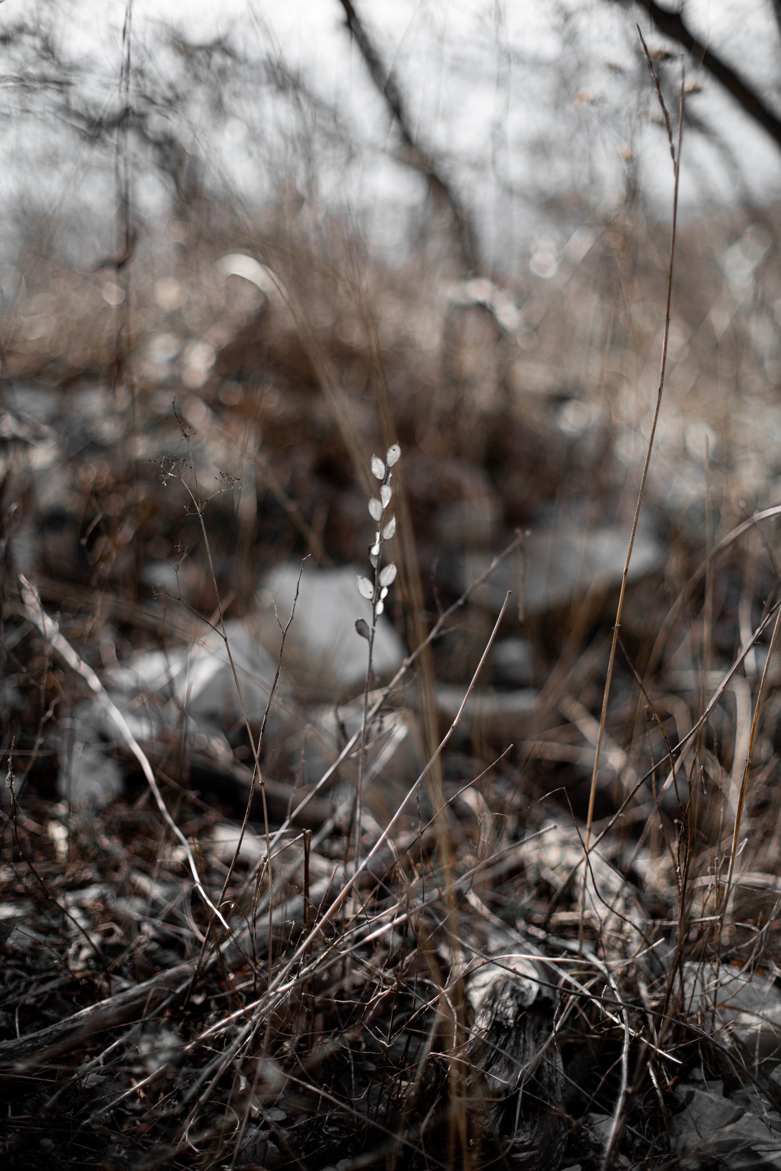 Дороги земли ветров. Портретный фотограф в Москве и Геленджике Кирилл Вахитов