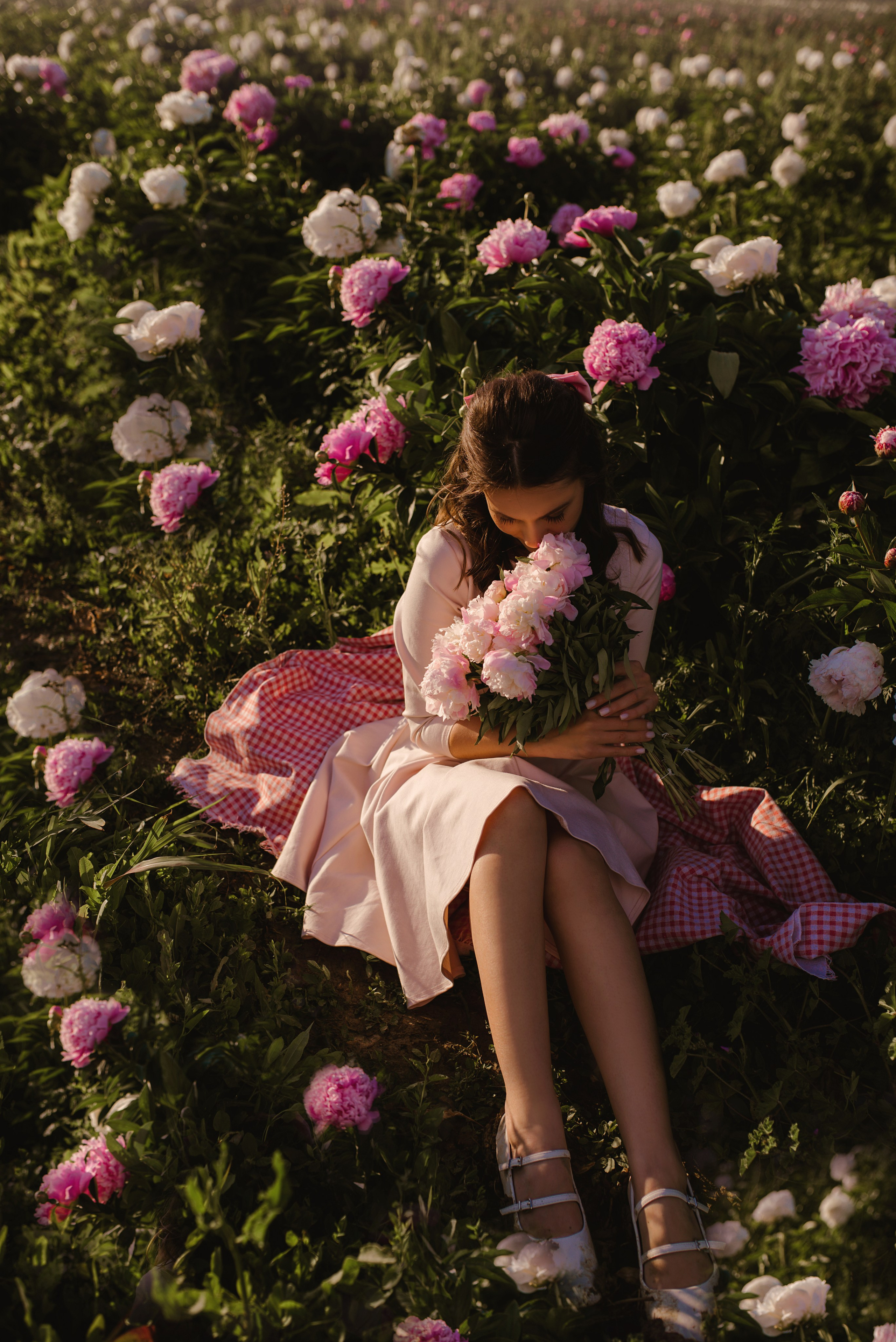 Champs de pivoines. Photographer in Provence Julia Lipiainen