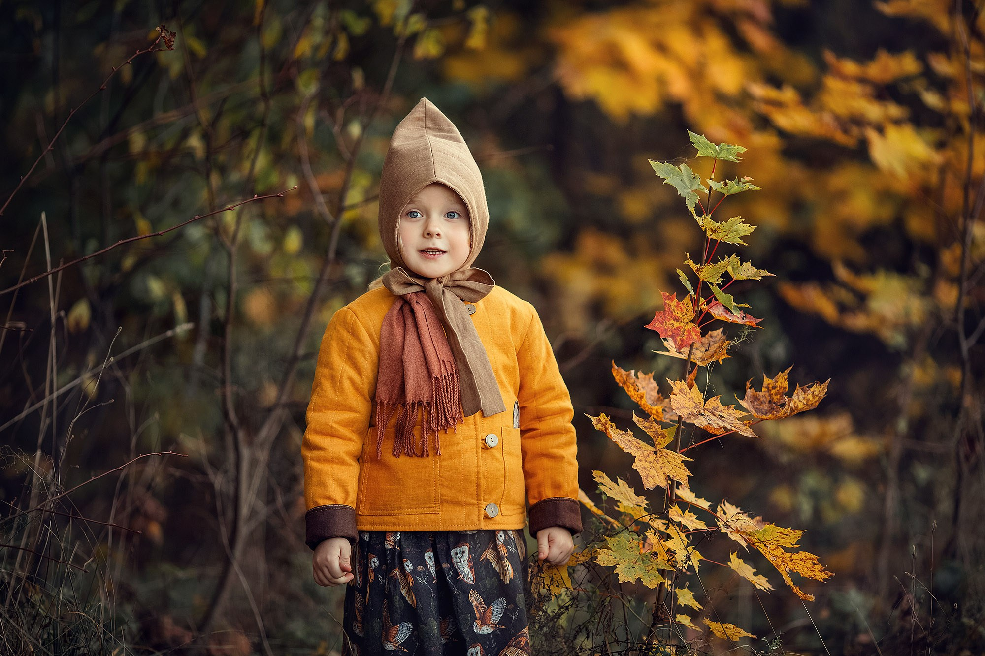 Детская стилизованная история золотой осенью. Tatyana Nadezhdina Family photographer
