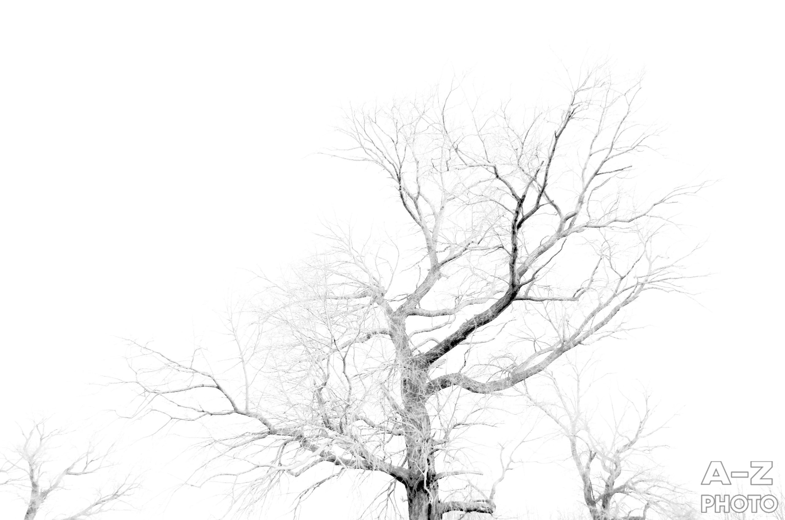 #ФОТОНЕДЕЛИ 30.03.2026. Женский семейный фотограф Тула Москва Захарова Анна