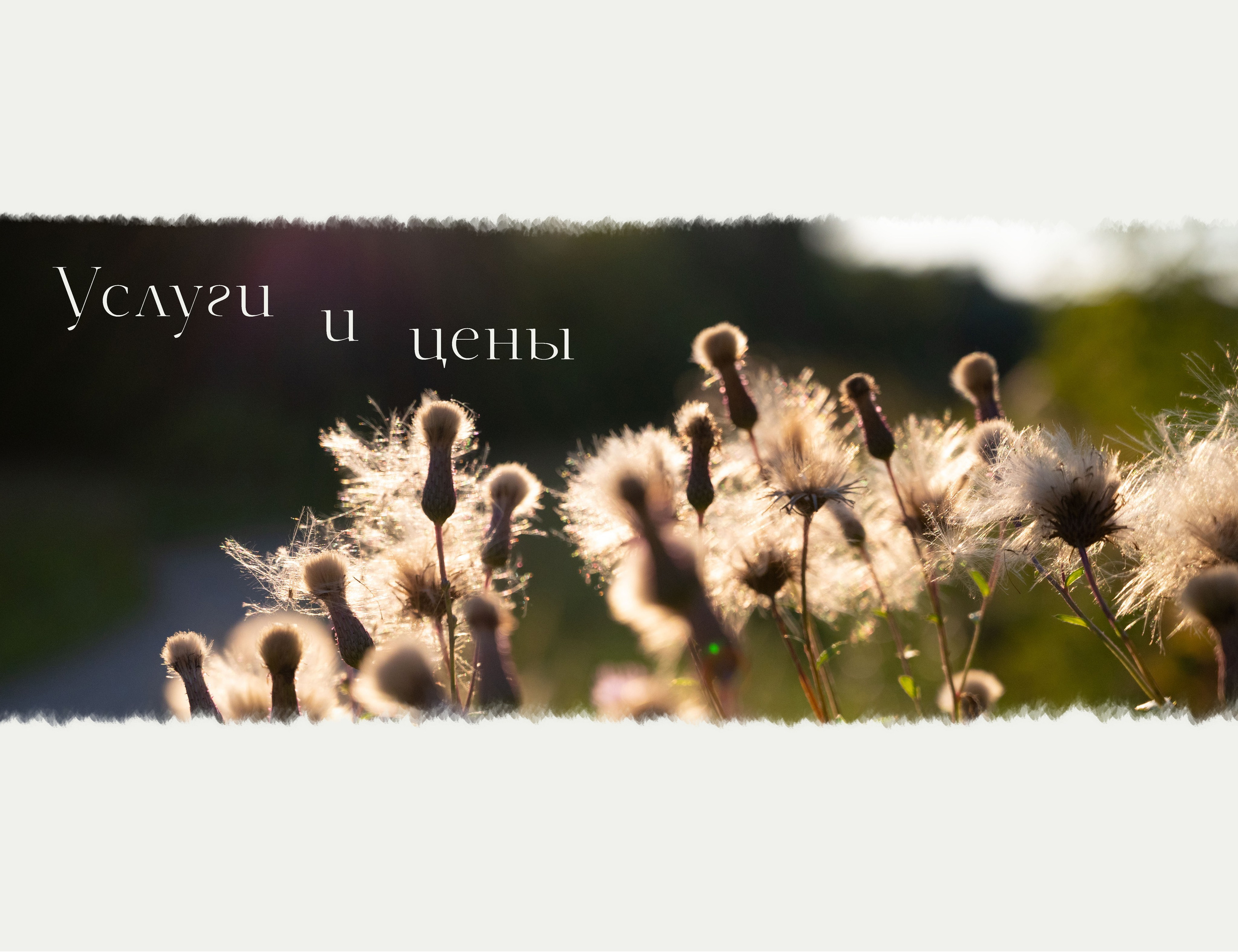 Услуги и цены. Фотограф Андрей Петрухин Москва