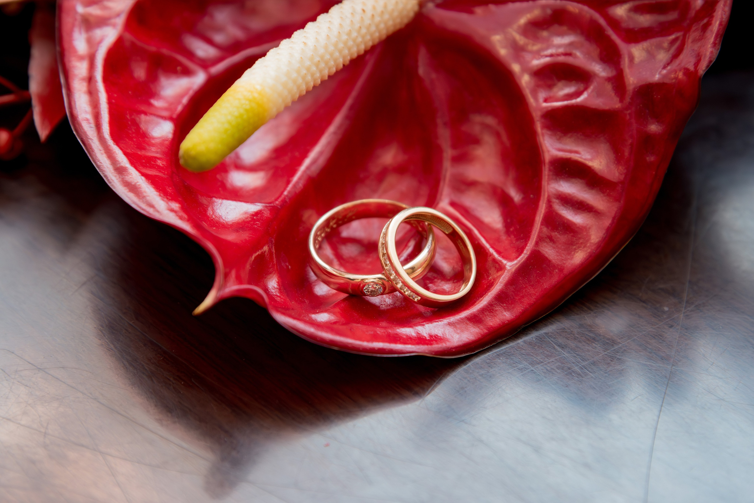 Свадебный и семейный фотограф в г. Краснодар Екатерина Зверева