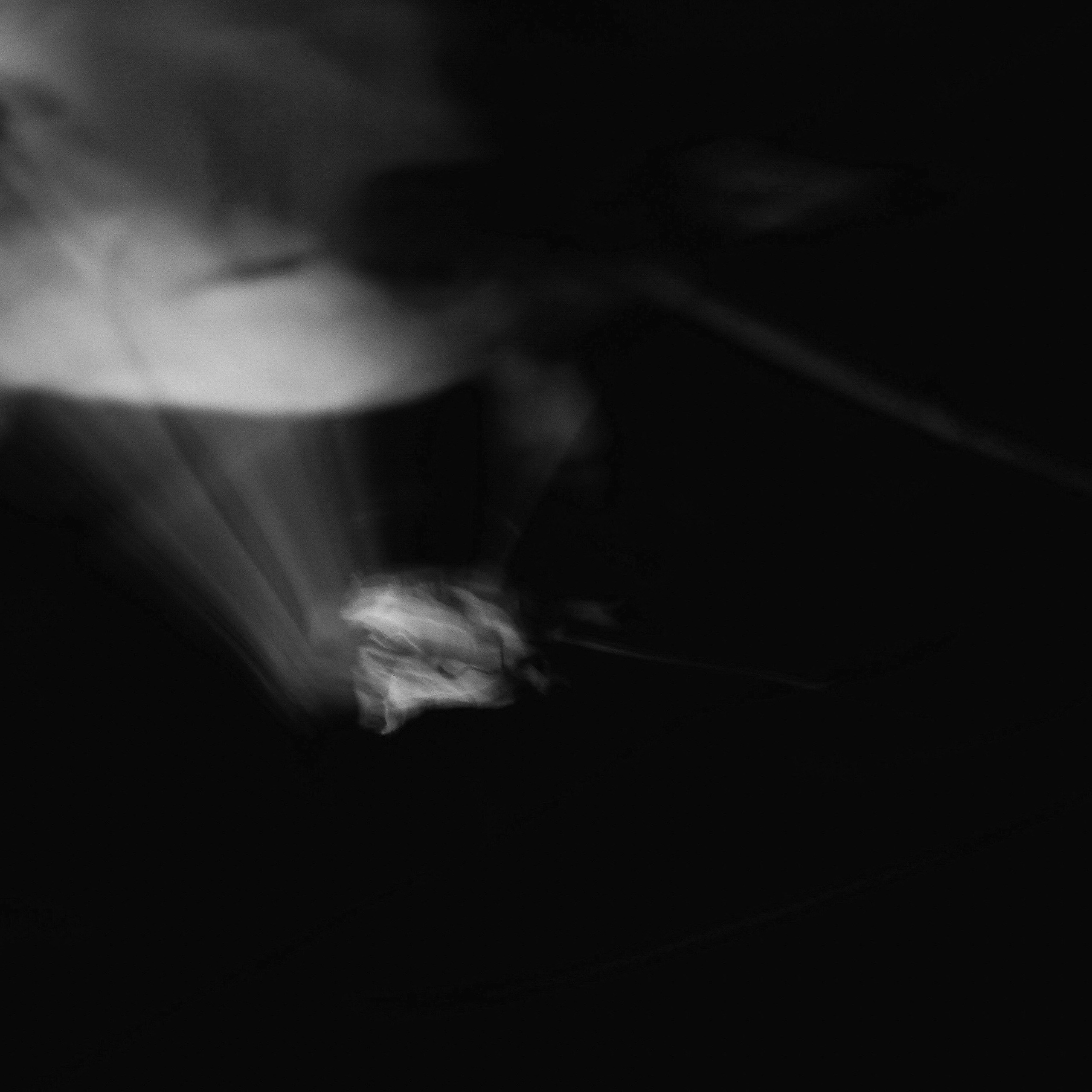 EKATERINA BOGDANOVA ─ PHOTOGRAPHER