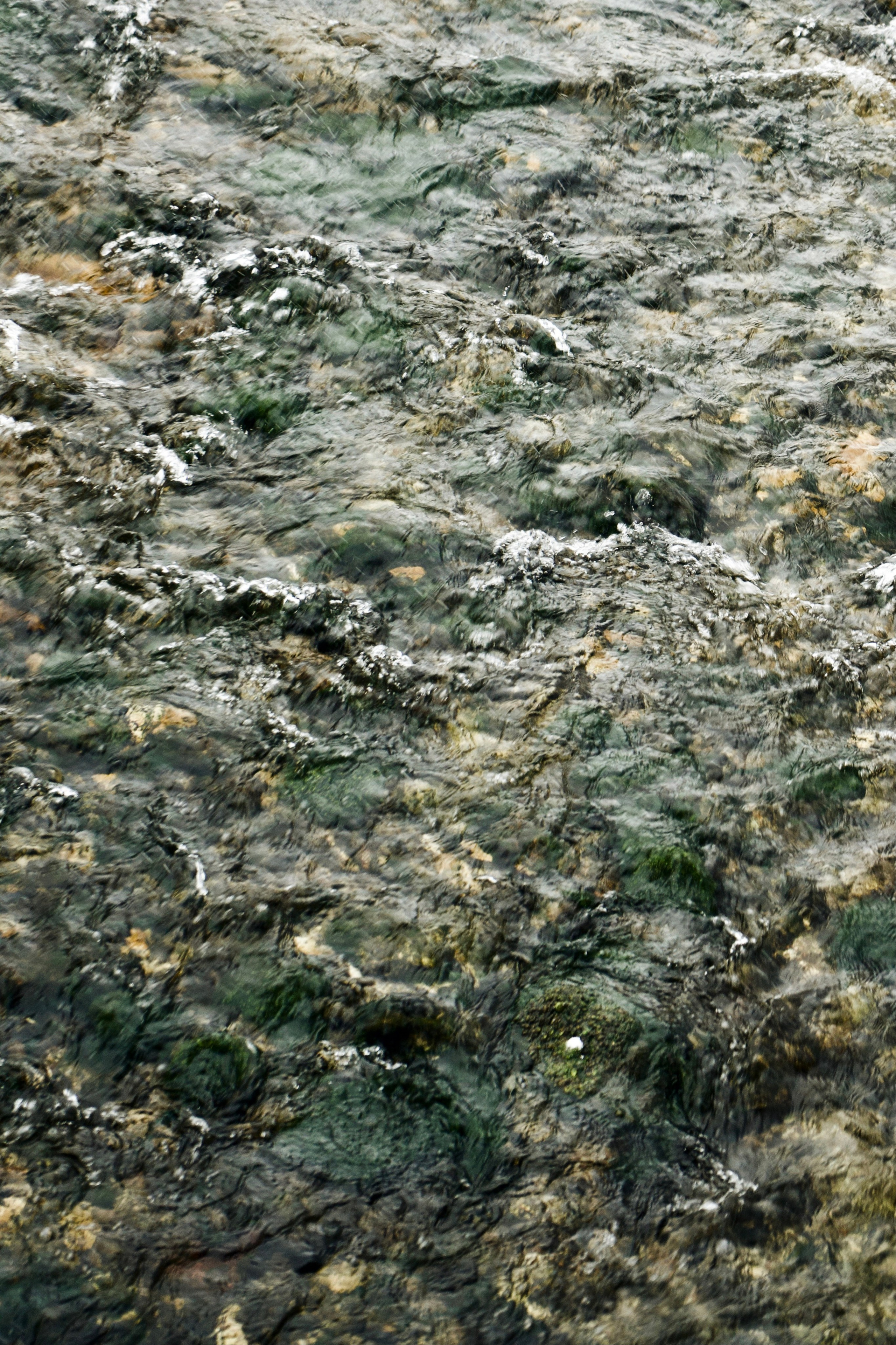 EKATERINA BOGDANOVA ─ PHOTOGRAPHER