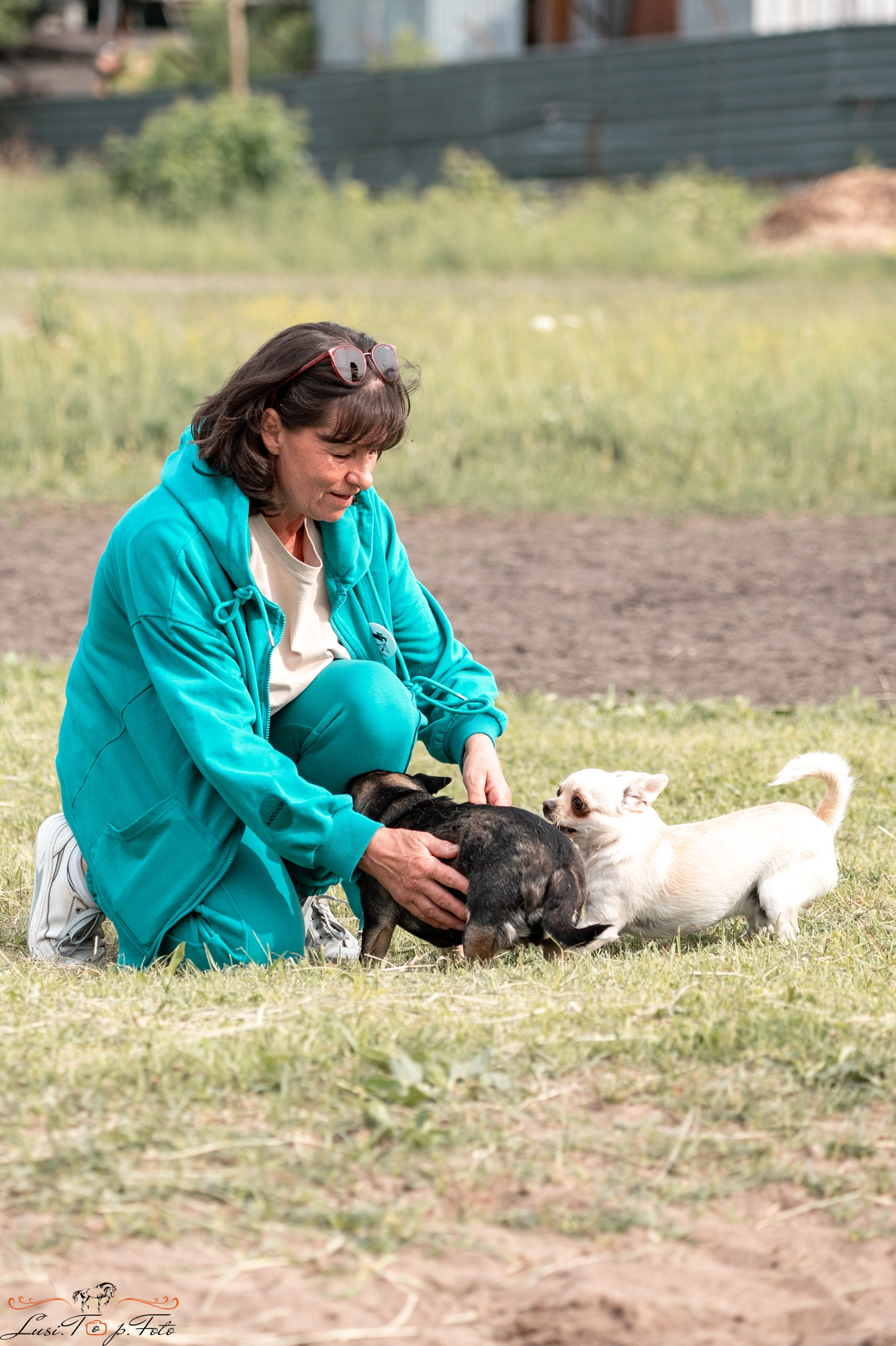 Областные соревнования по выездке. Тверь. Конный и фотограф с животными в Твери Топталова Люся