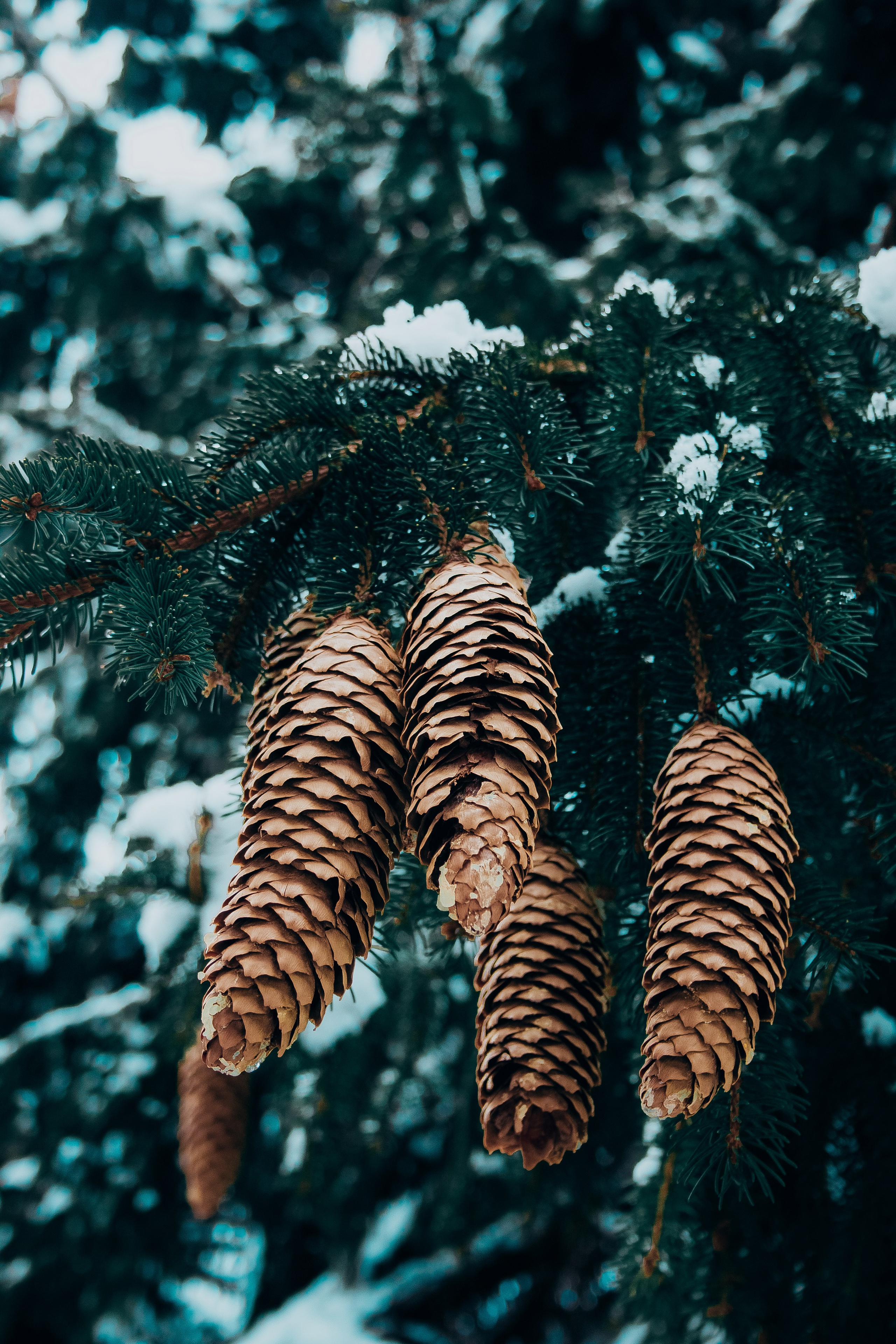 Фотография. Фотограф и видеограф DOSERZH (Добрин Сергей) в городе Москва и МО