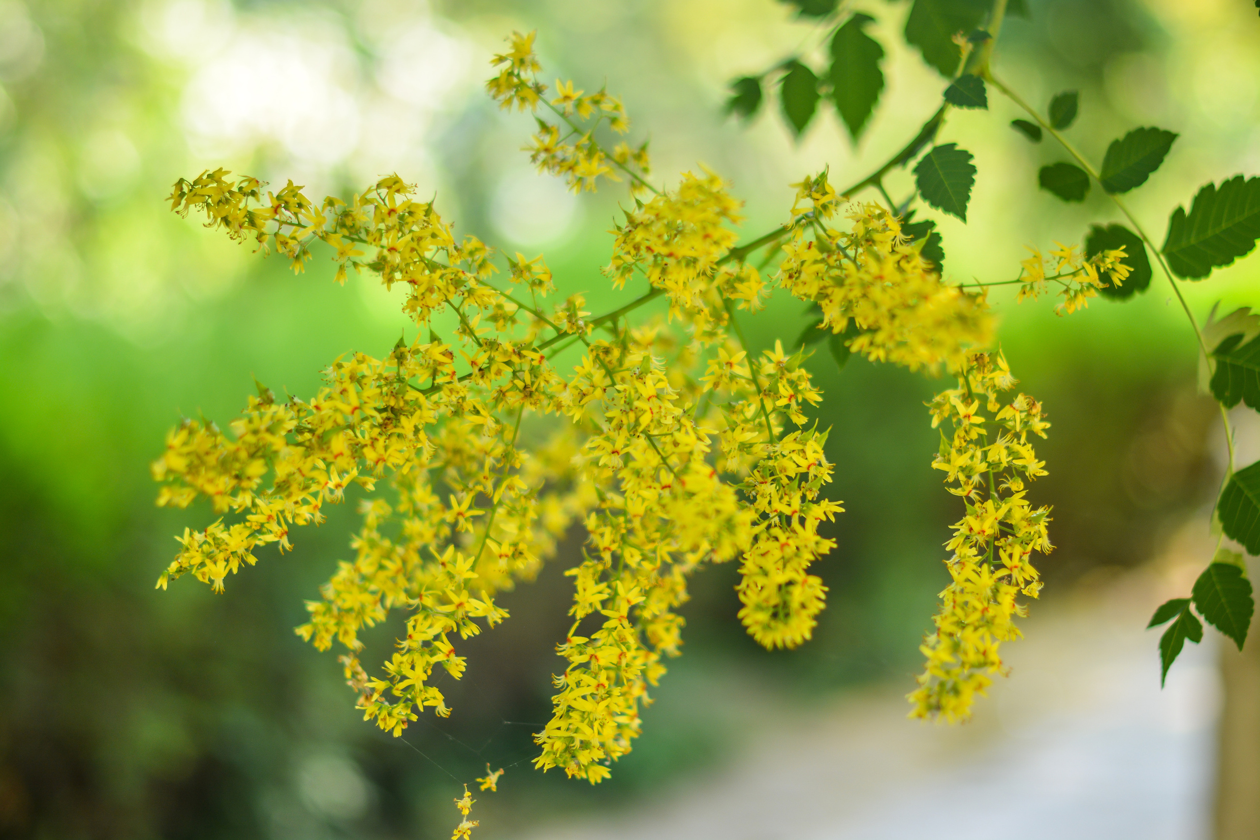 ВИТЯЗЕВО 2021. Фотограф для бизнесконтента, репортажей и семейного альбома в Москве