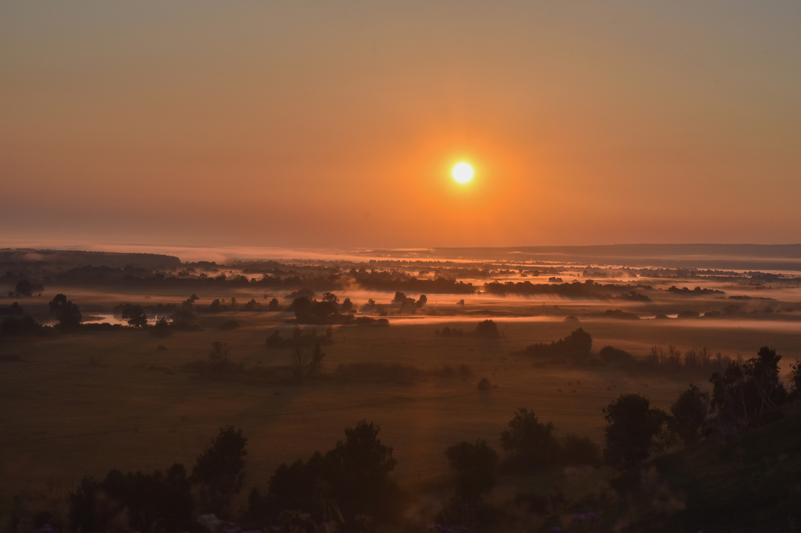 ИЮЛЬ 2021. ИНЗА. Фотограф для бизнесконтента, репортажей и семейного альбома в Москве