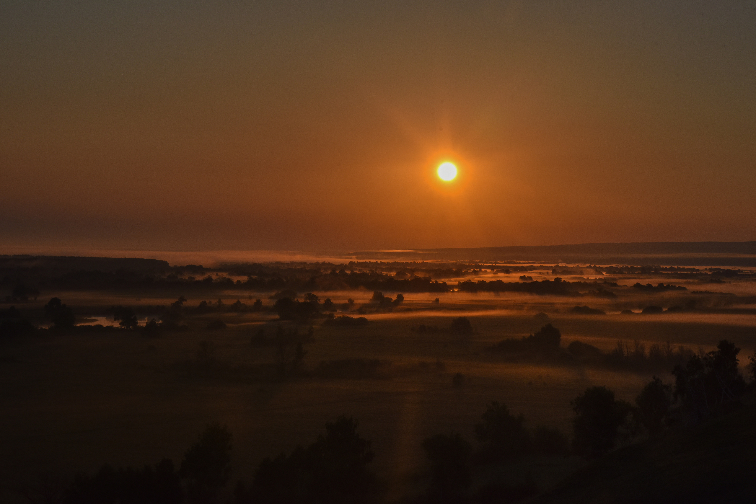 ИЮЛЬ 2021. ИНЗА. Фотограф для бизнесконтента, репортажей и семейного альбома в Москве