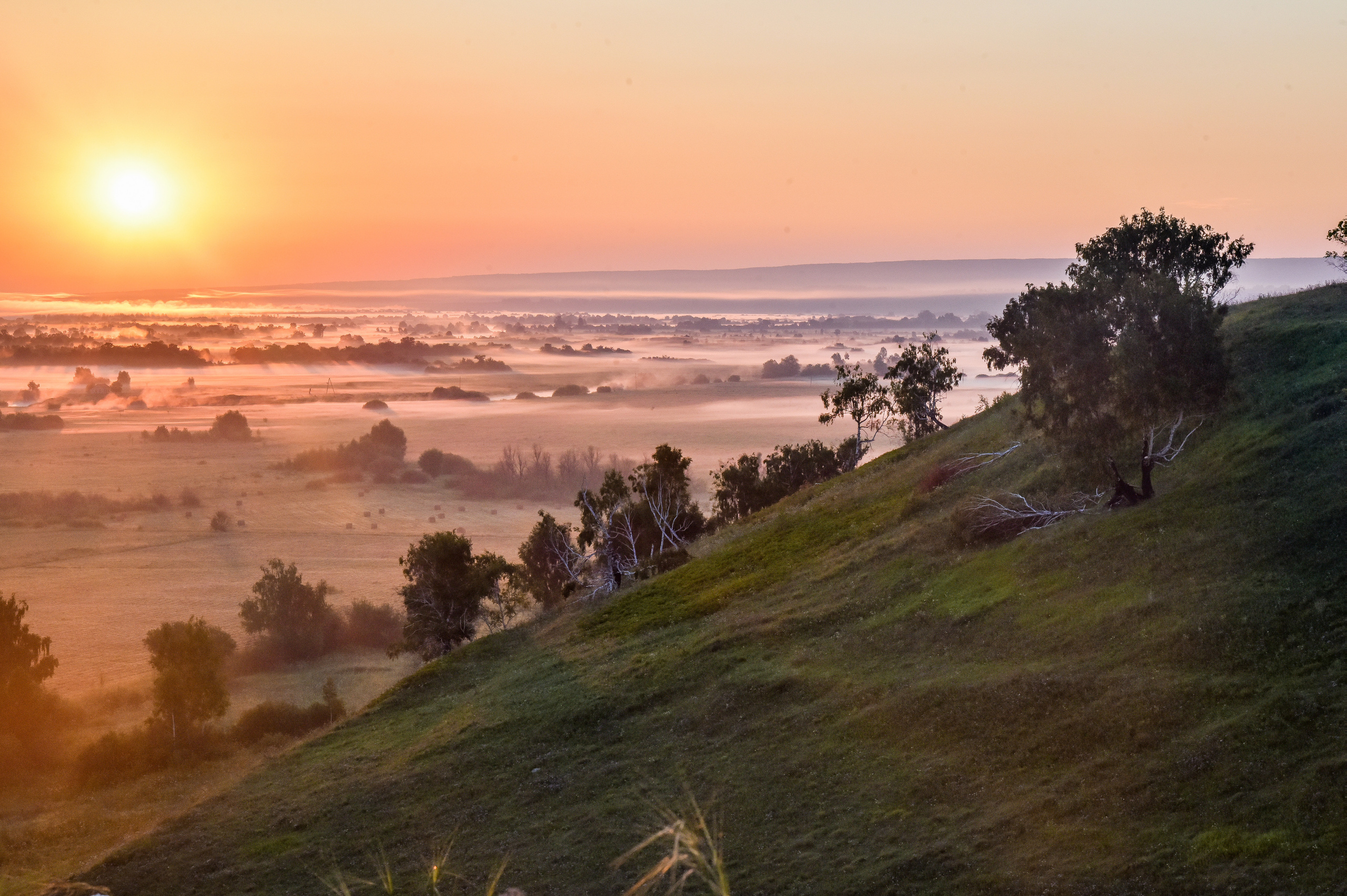 ИЮЛЬ 2021. ИНЗА. Фотограф для бизнесконтента, репортажей и семейного альбома в Москве