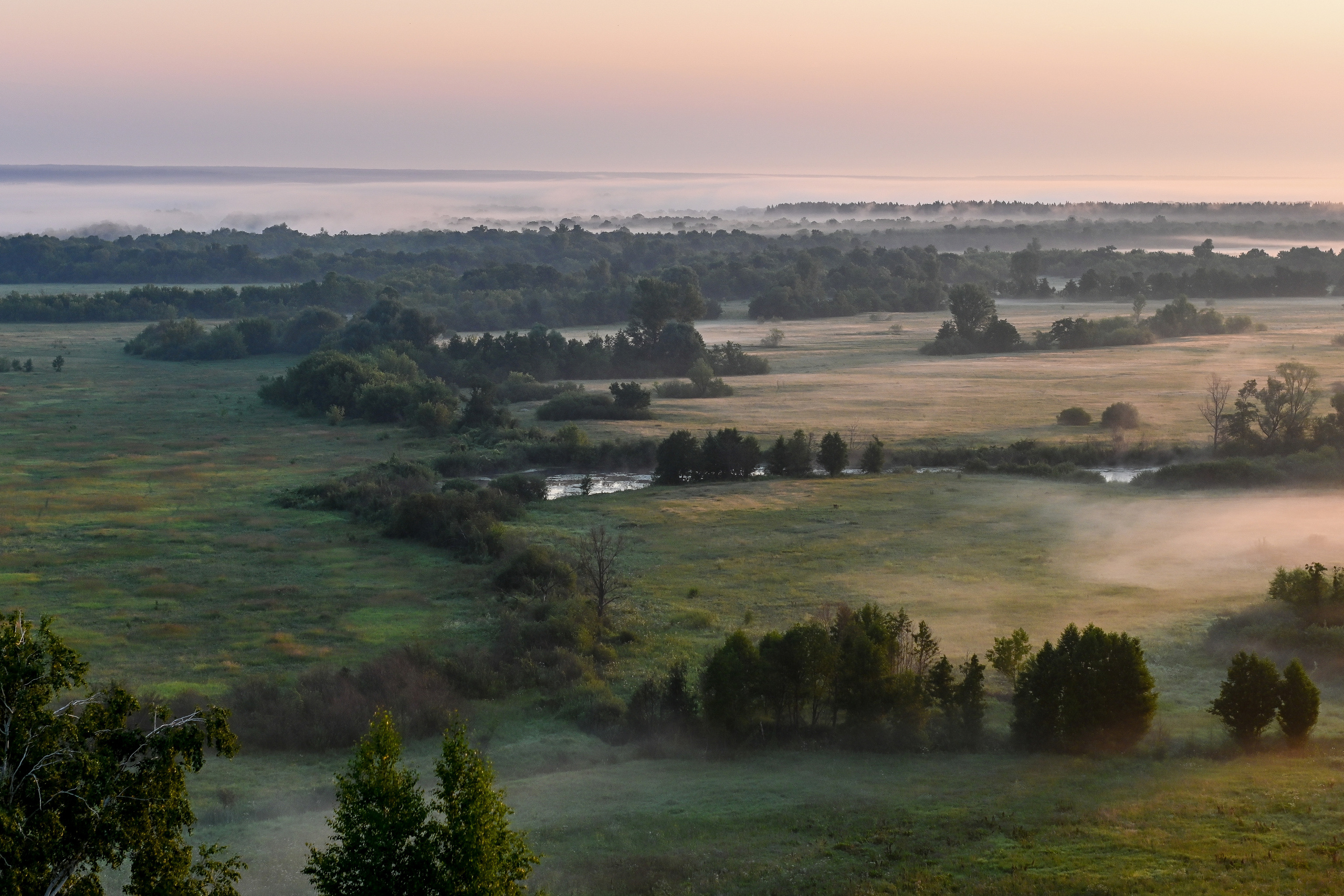 ИЮЛЬ 2021. ИНЗА. Фотограф для бизнесконтента, репортажей и семейного альбома в Москве