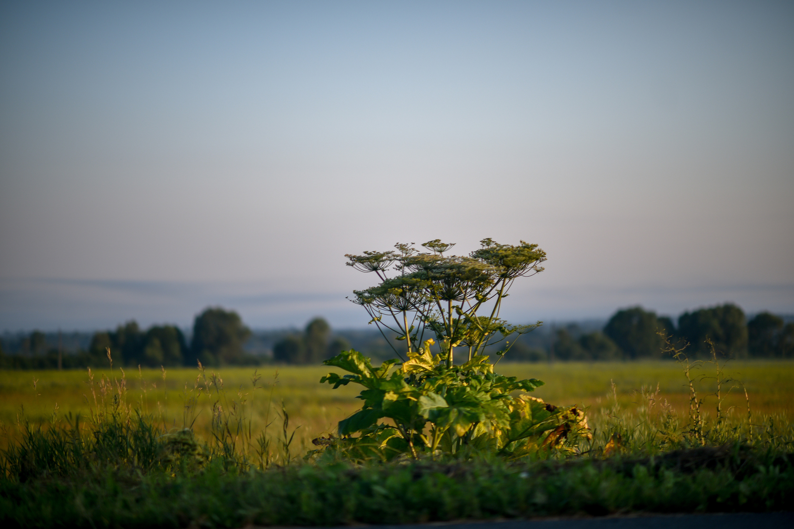 ИЮЛЬ 2021. ИНЗА. Фотограф для бизнесконтента, репортажей и семейного альбома в Москве