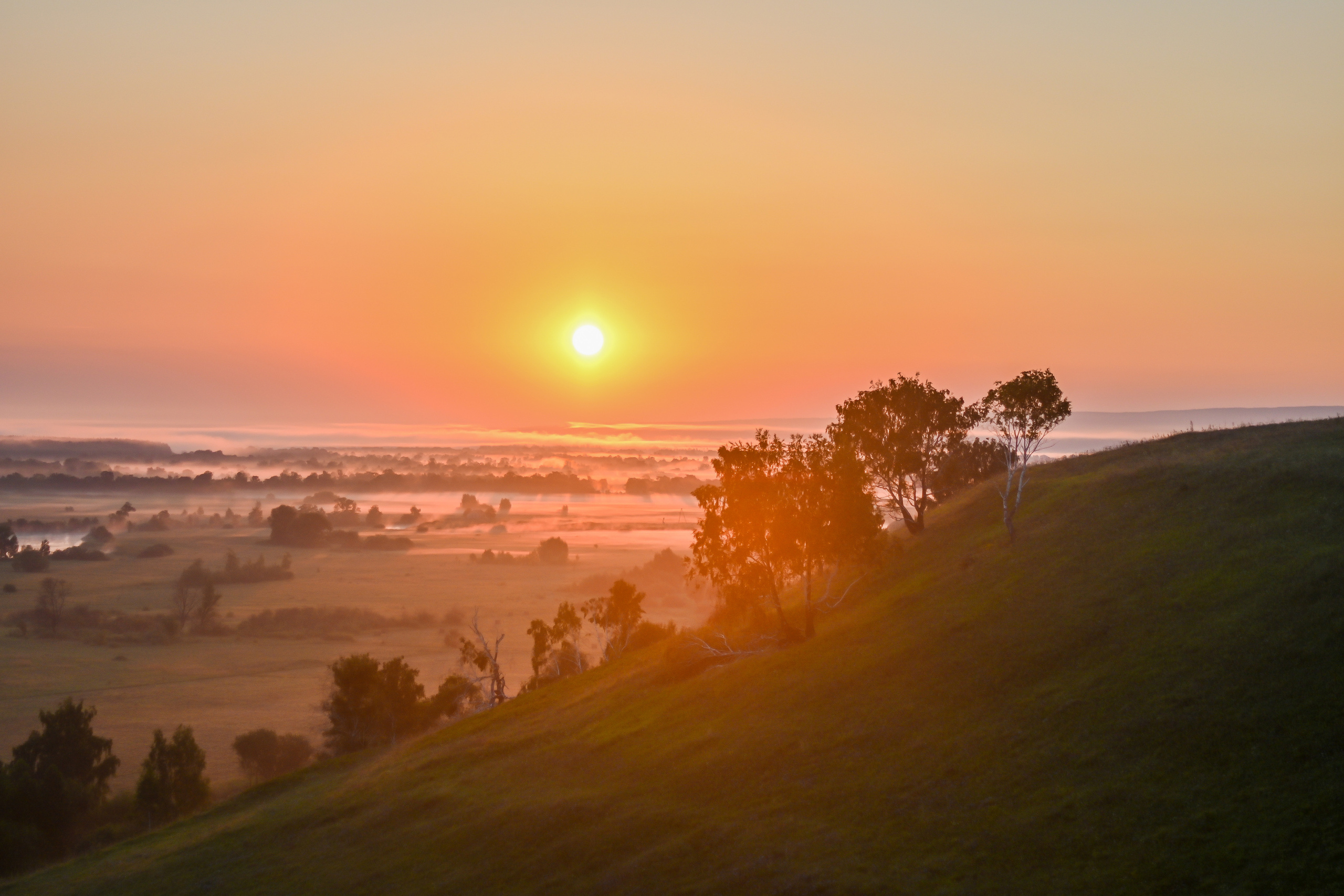 ИЮЛЬ 2021. ИНЗА. Фотограф для бизнесконтента, репортажей и семейного альбома в Москве
