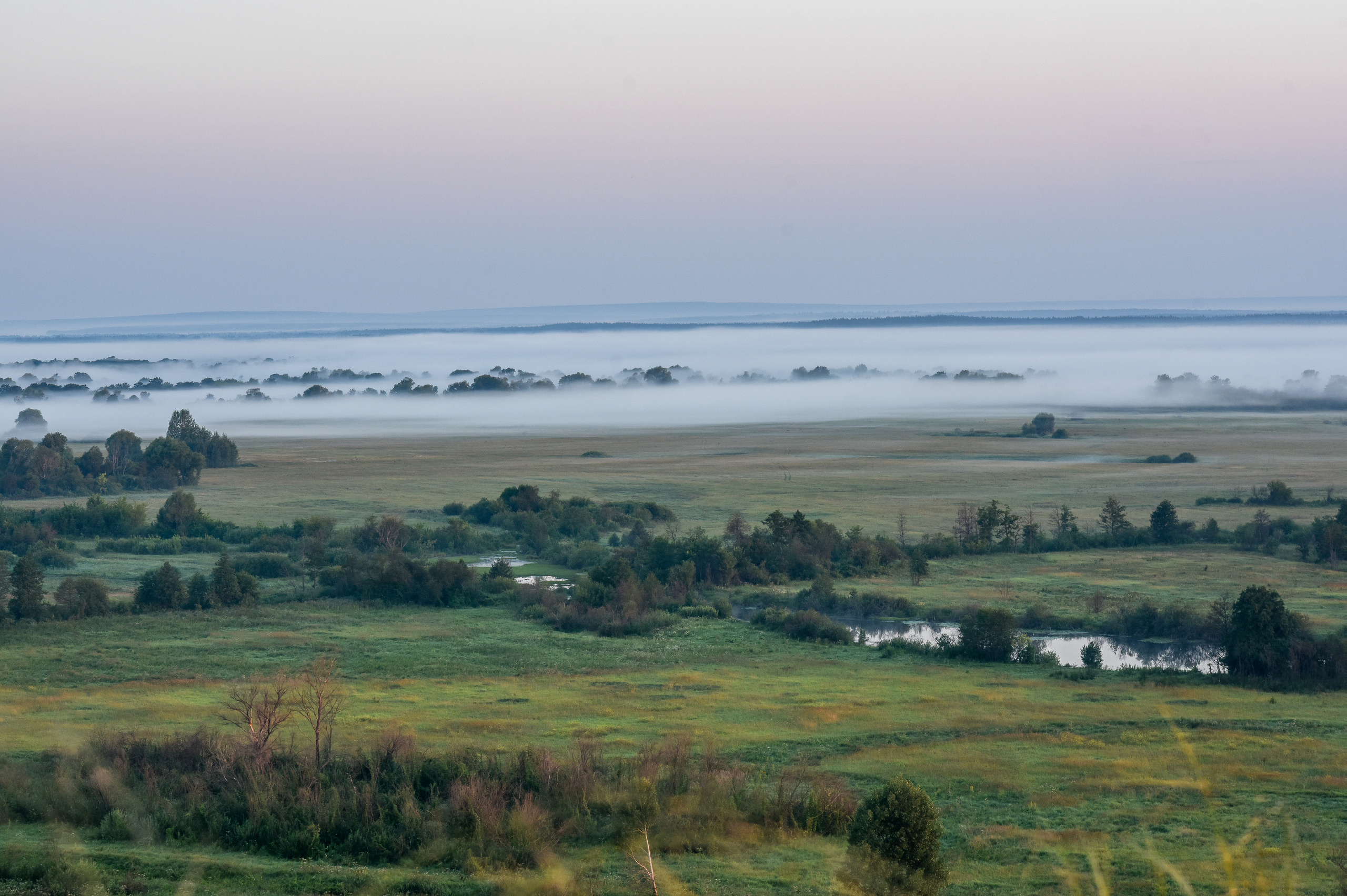 ИЮЛЬ 2021. ИНЗА. Фотограф для бизнесконтента, репортажей и семейного альбома в Москве