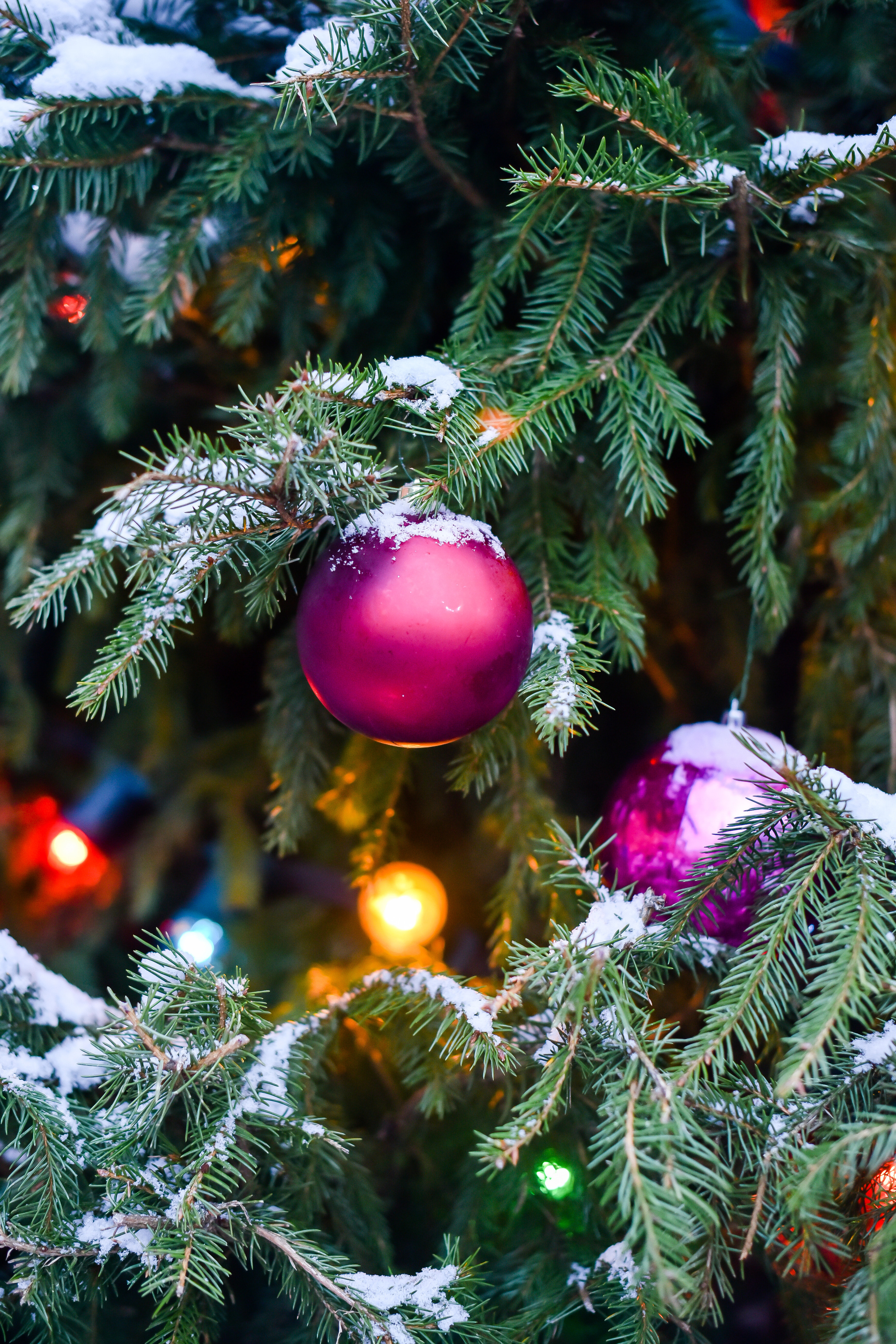 СЕМЕЙНЫЙ ЯНВАРЬ 2022. Фотограф для бизнесконтента, репортажей и семейного альбома в Москве