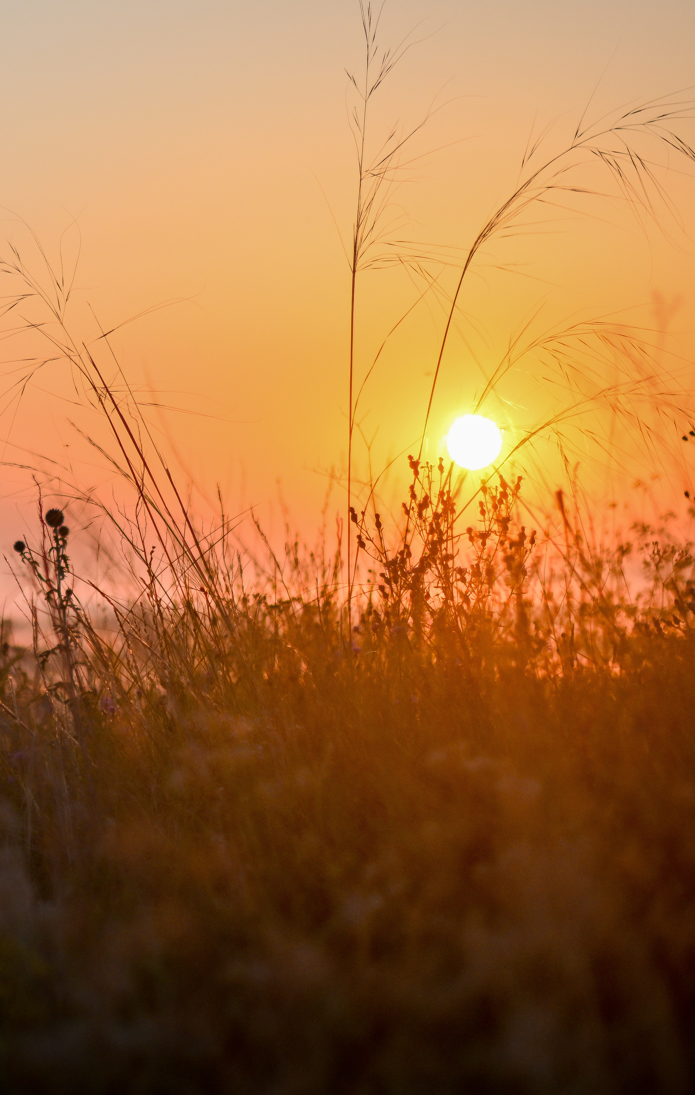 ИЮЛЬ 2021. ИНЗА. Фотограф для бизнесконтента, репортажей и семейного альбома в Москве