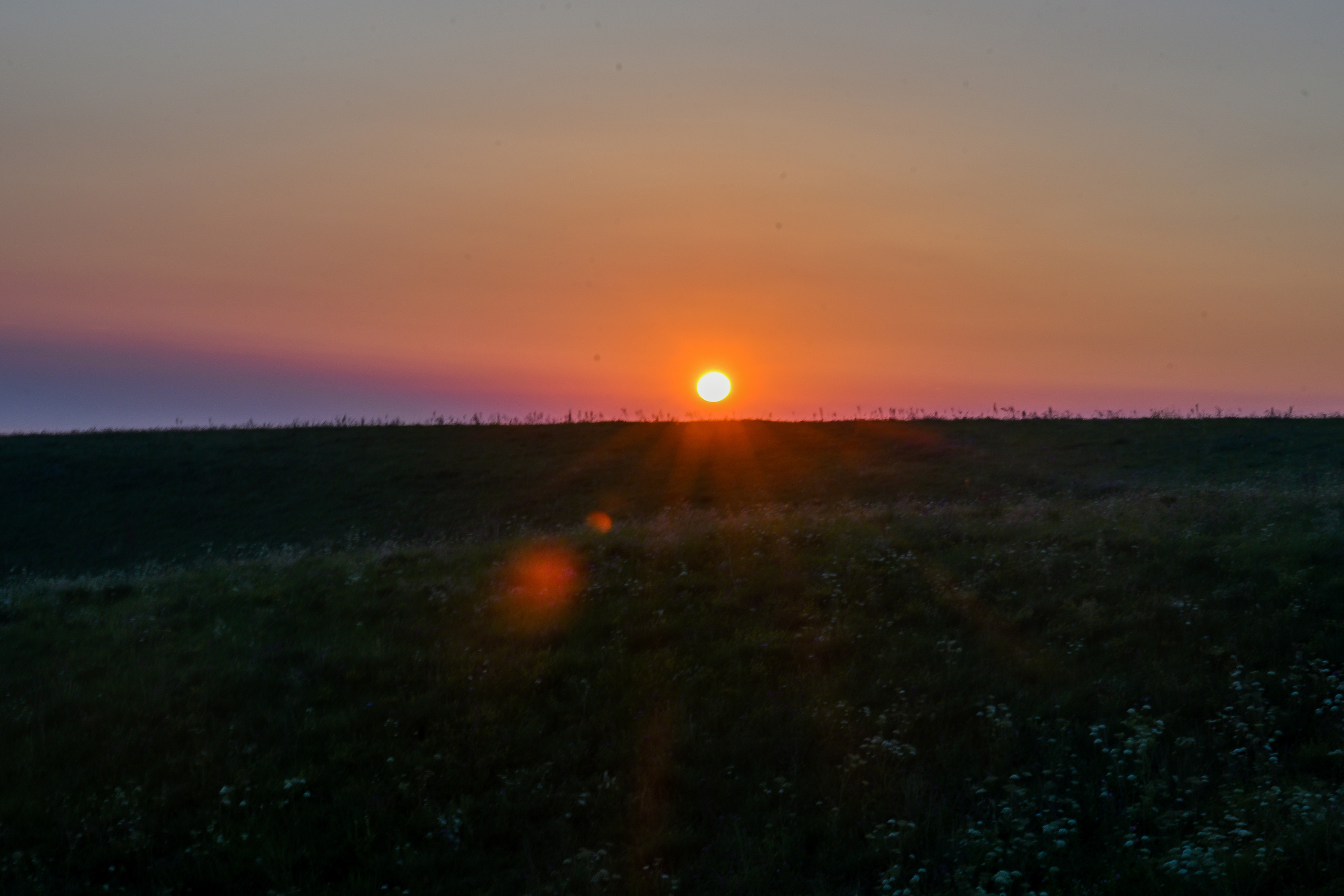 ИЮЛЬ 2021. ИНЗА. Фотограф для бизнесконтента, репортажей и семейного альбома в Москве