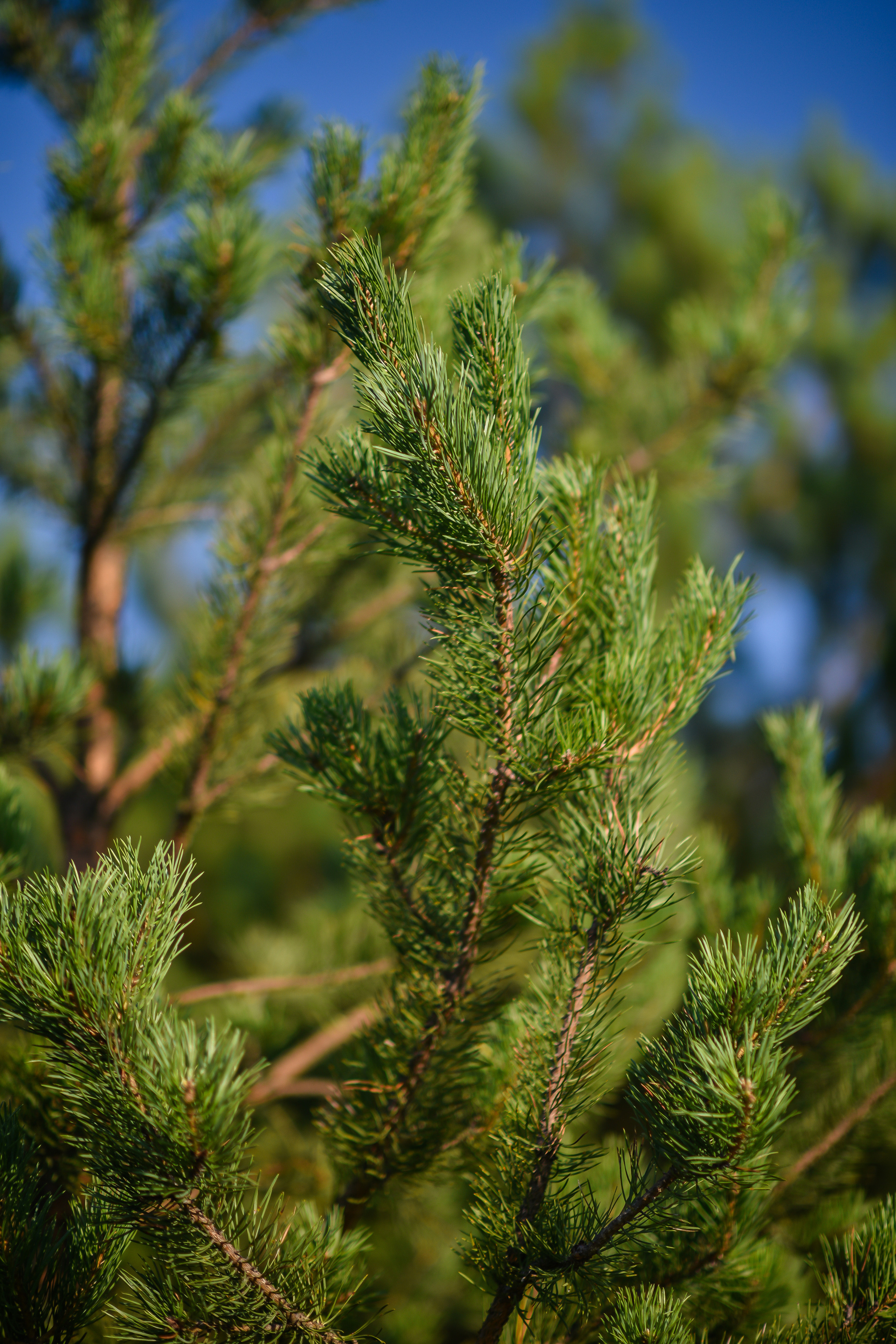 ИЮЛЬ 2021. ИНЗА. Фотограф для бизнесконтента, репортажей и семейного альбома в Москве