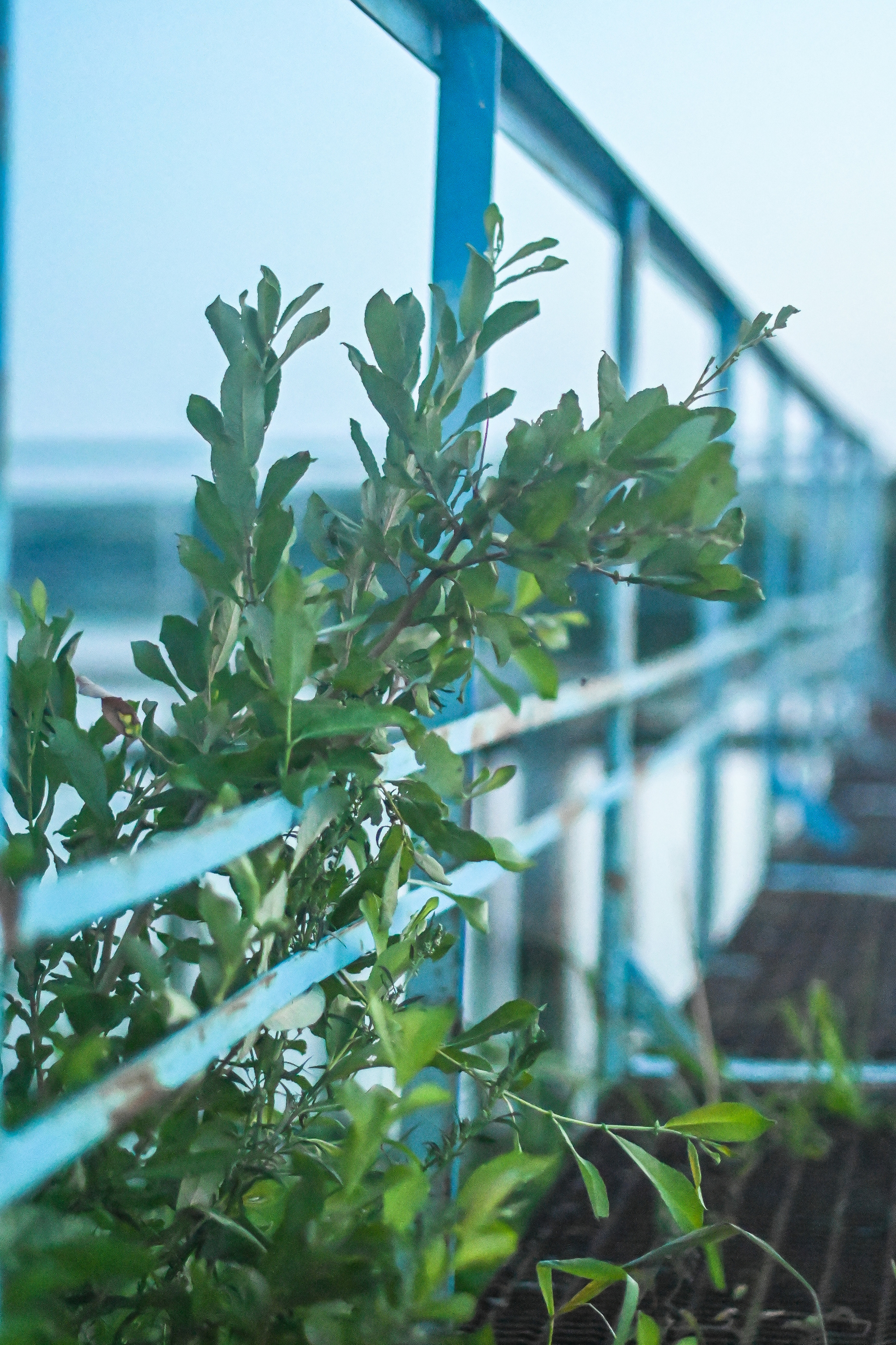 ИЮЛЬ 2021. ИНЗА. Фотограф для бизнесконтента, репортажей и семейного альбома в Москве