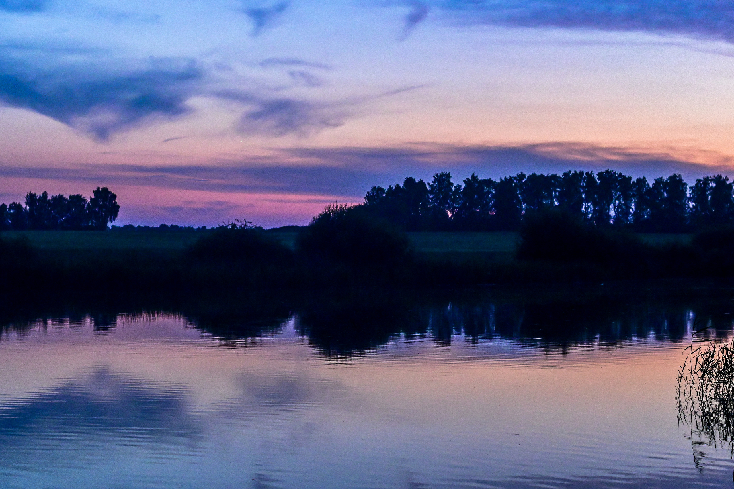 ИЮЛЬ 2021. ИНЗА. Фотограф для бизнесконтента, репортажей и семейного альбома в Москве