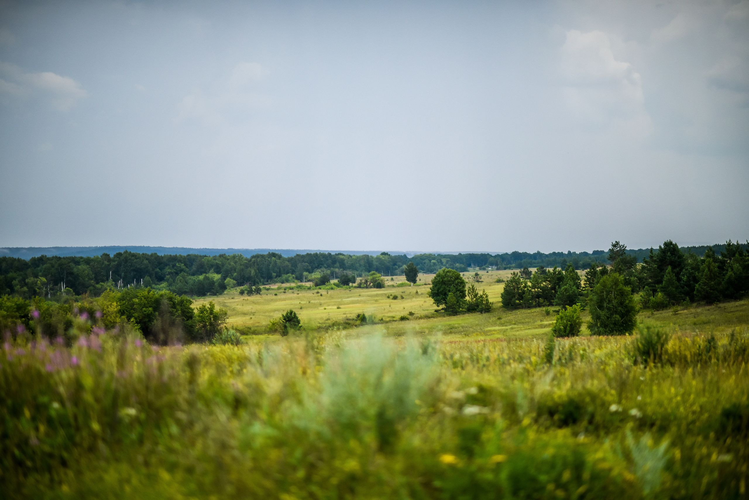 ИЮЛЬ 2021. ИНЗА. Фотограф для бизнесконтента, репортажей и семейного альбома в Москве