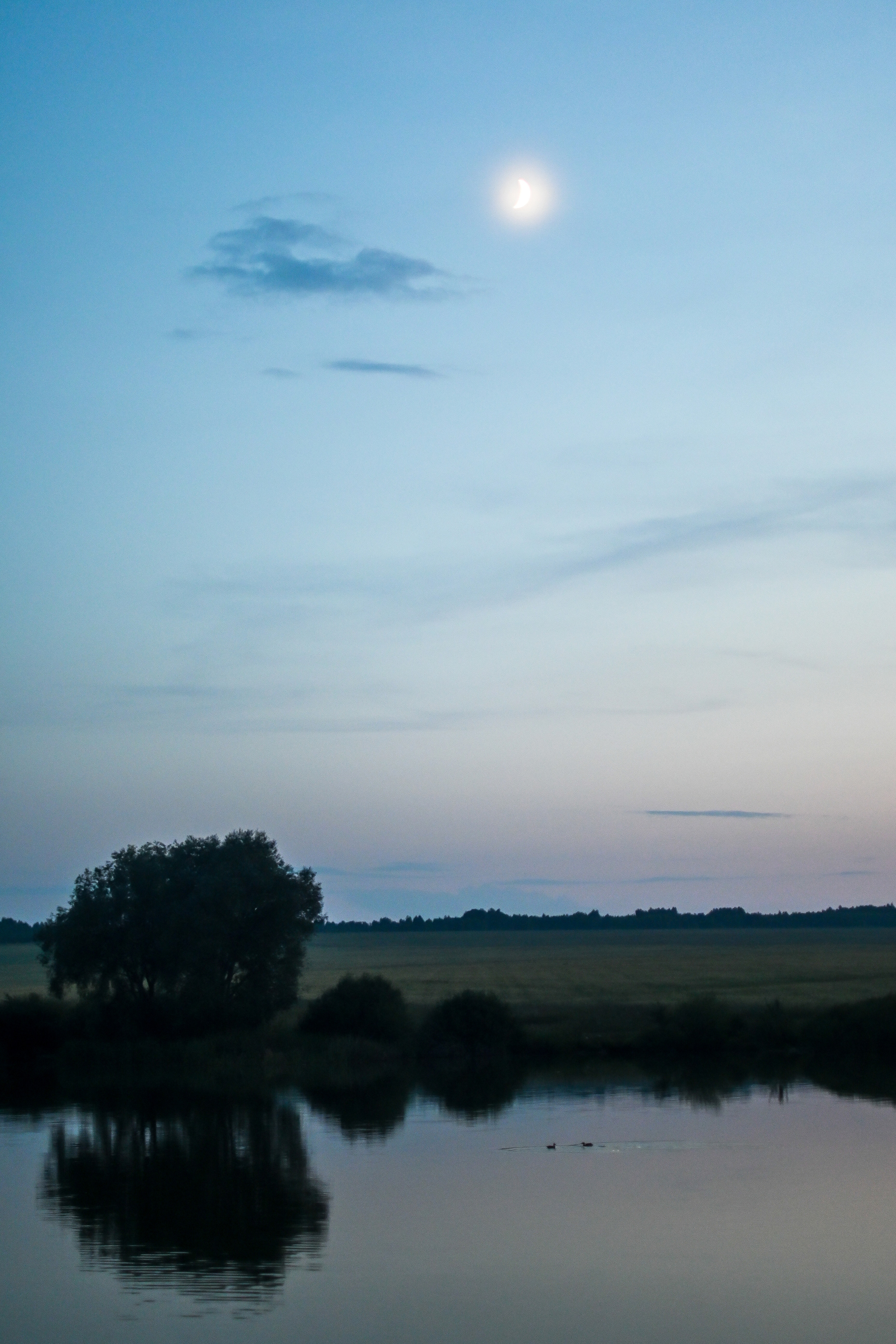 ИЮЛЬ 2021. ИНЗА. Фотограф для бизнесконтента, репортажей и семейного альбома в Москве