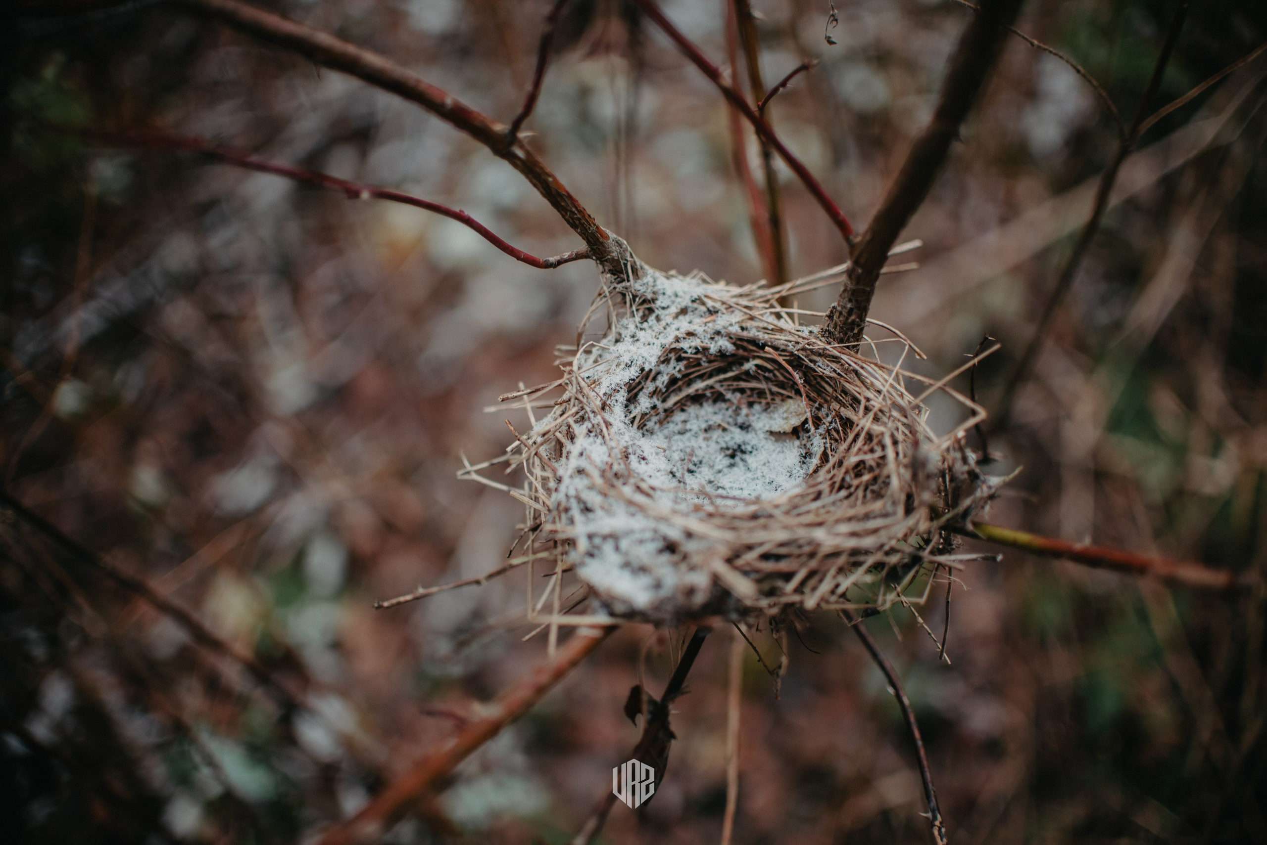 «Затерянное Вятки». Путь на «поющие пески». Контент фотограф Илья Урс