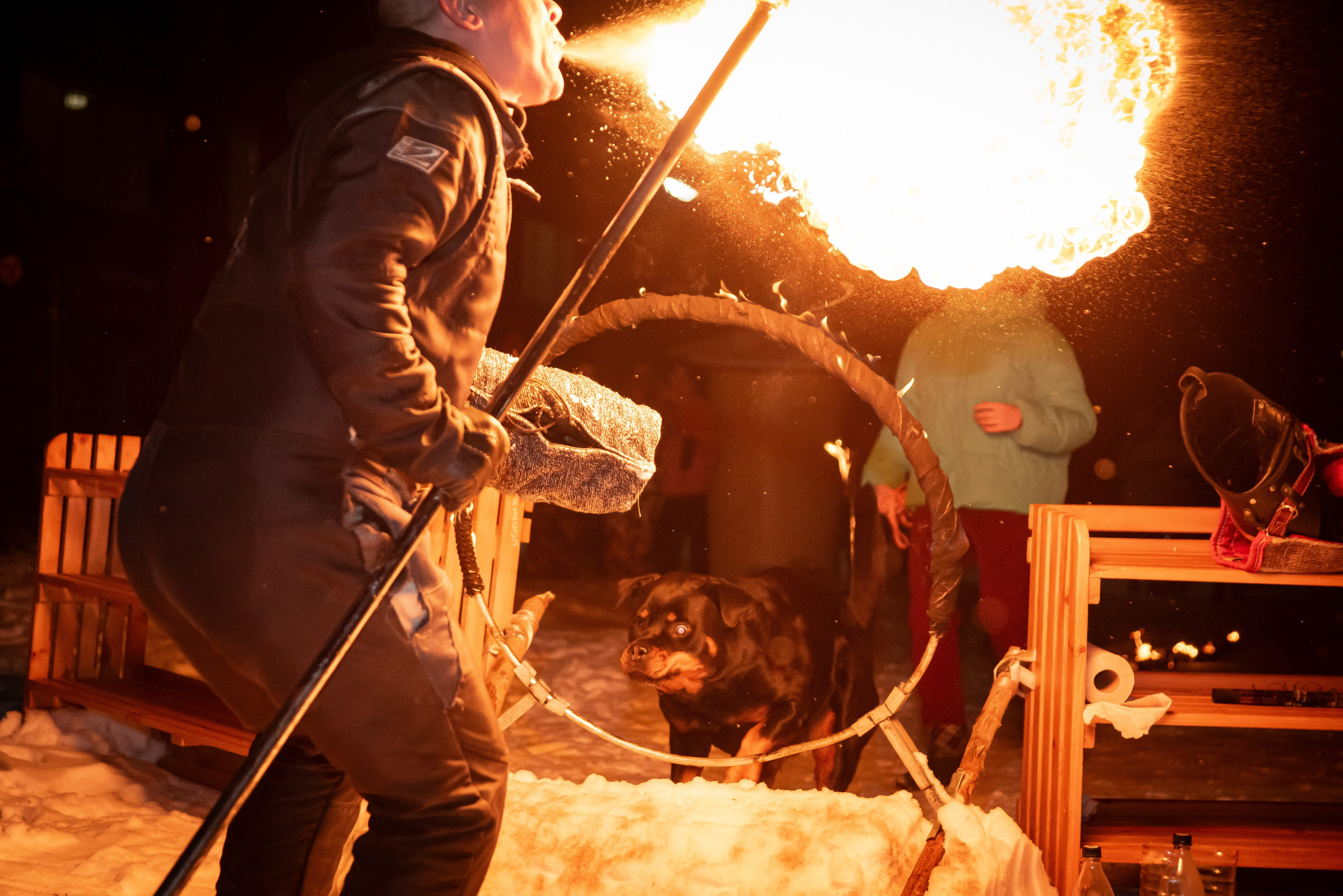 Фотосессии в кинологическом лагере. Фотограф Макс Огурцов в Нижнем Новгороде