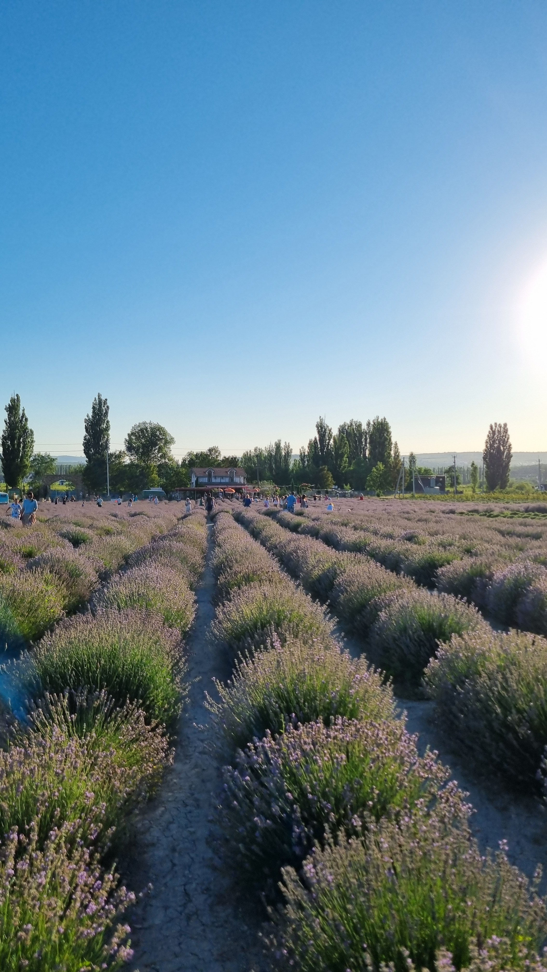 МЕСТА ДЛЯ ФОТОСЕССИИ В АНАПЕ. Свадебный и семейный фотограф/видеограф в Краснодаре Наталья Осинская