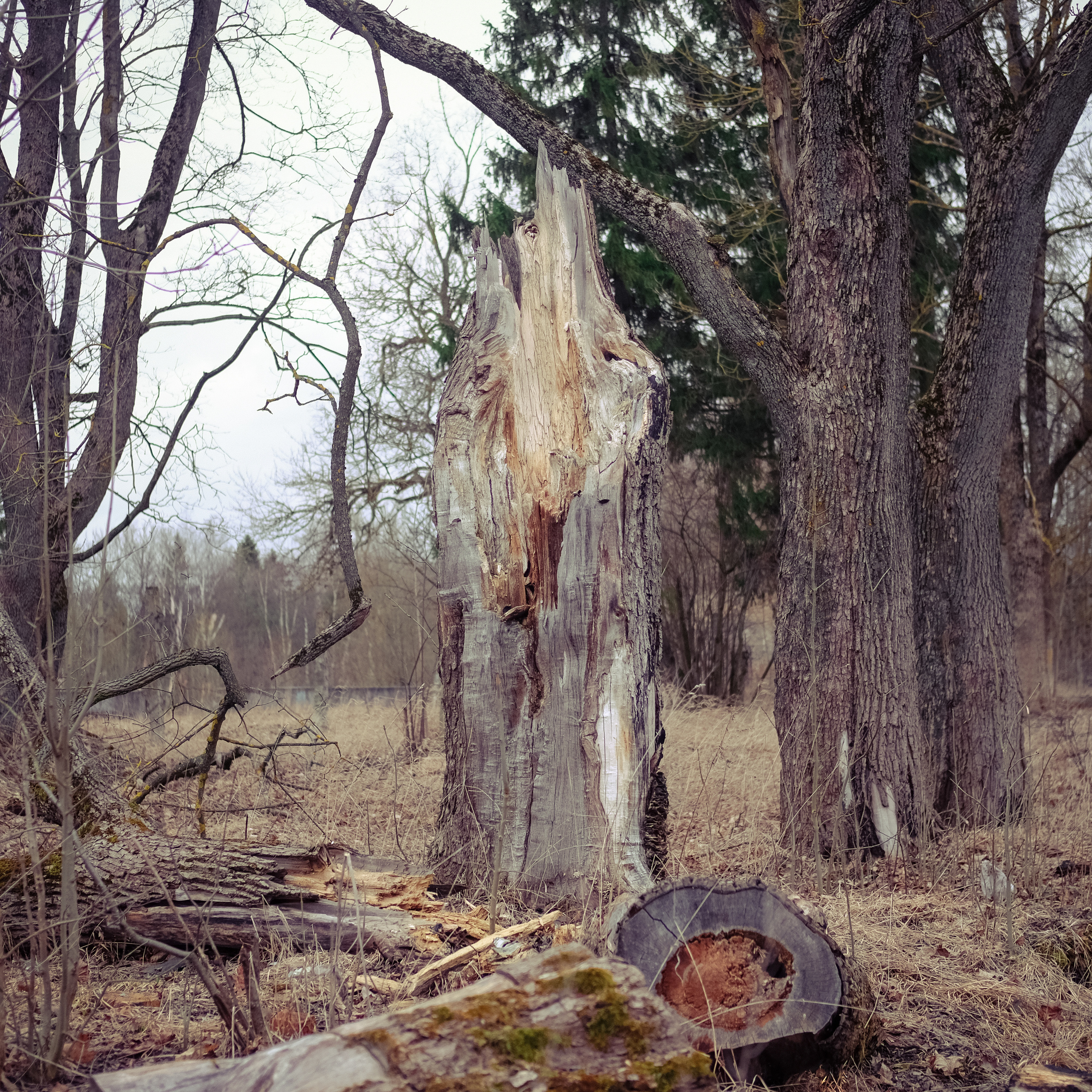 Природа вещей и надежд. Works