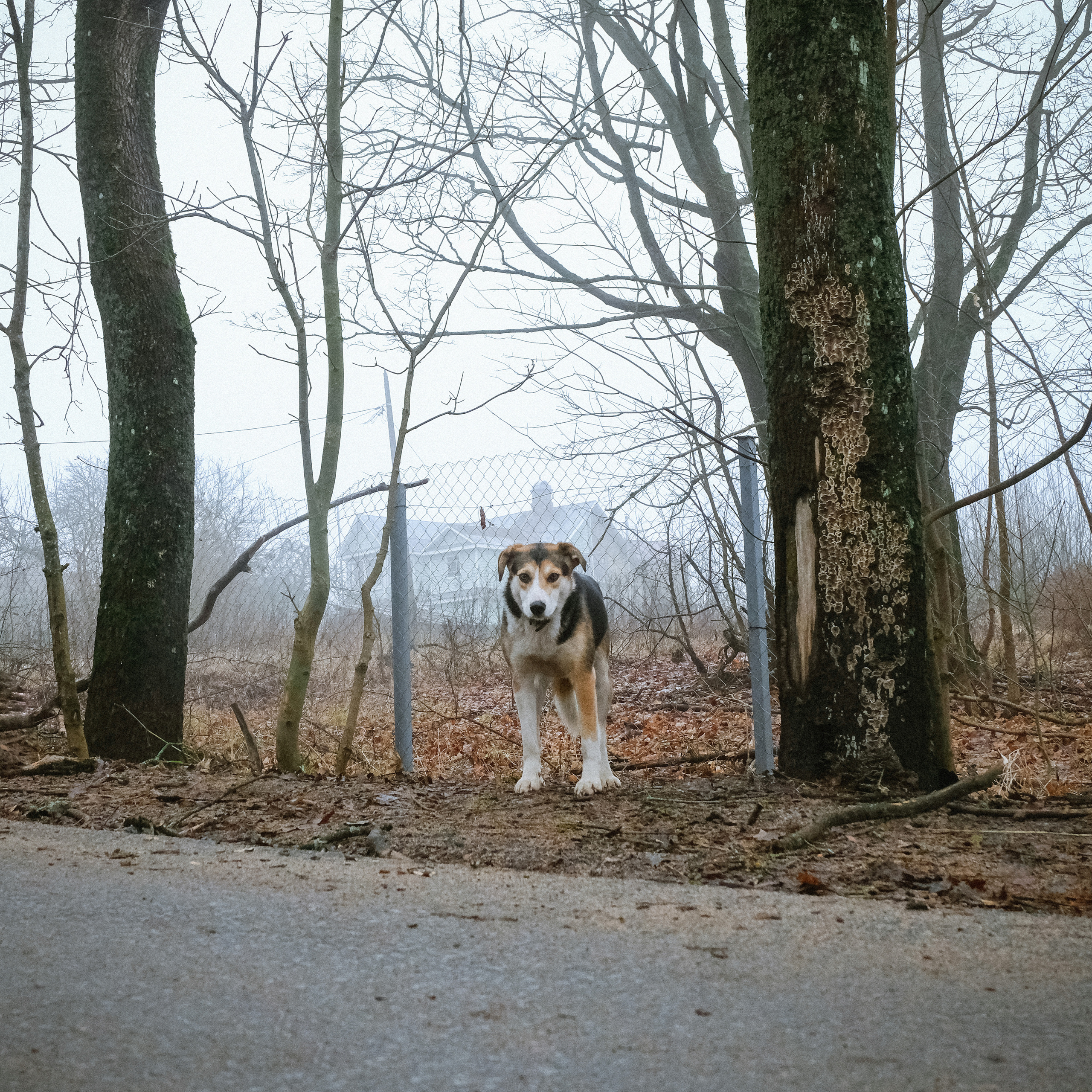 Природа вещей и надежд. Works