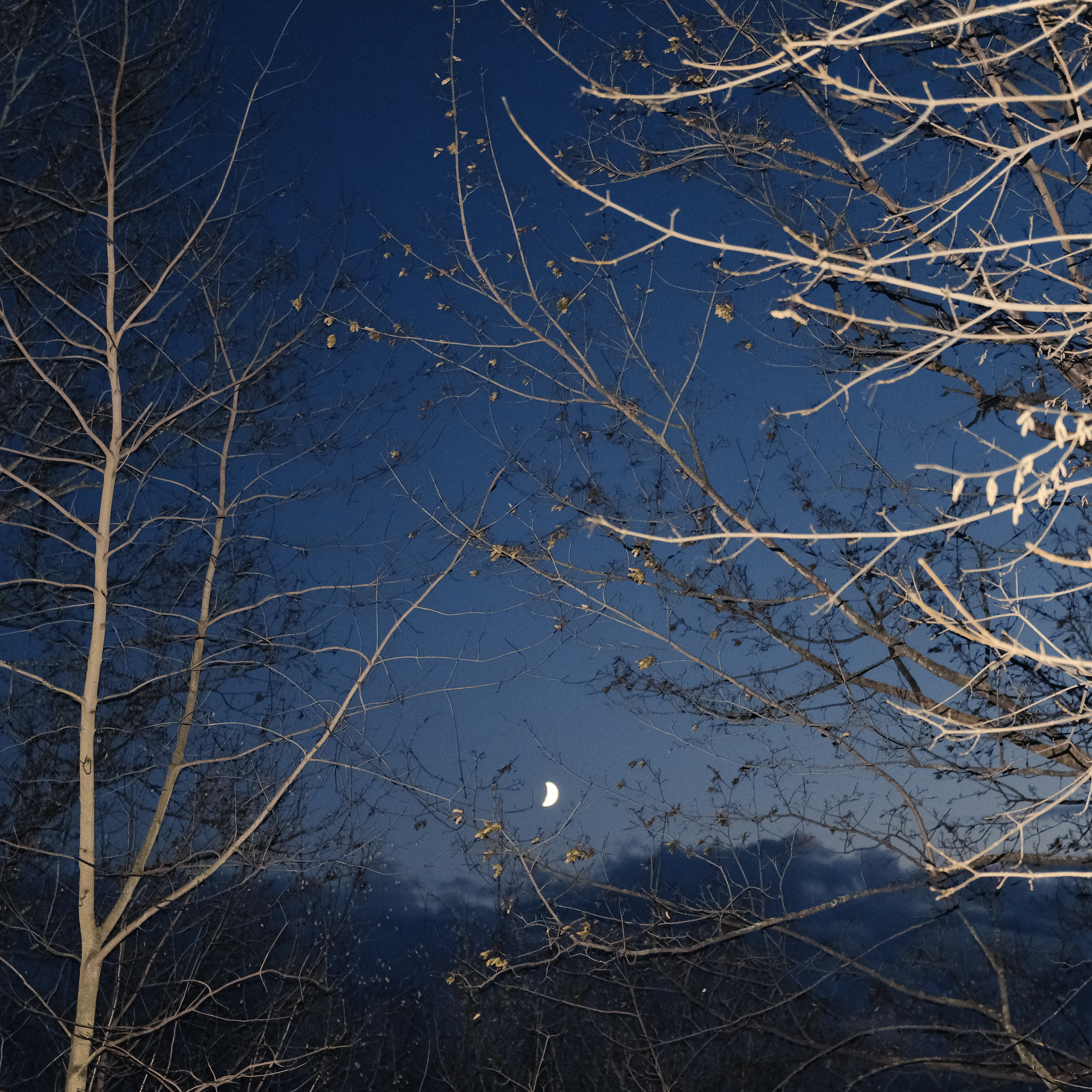 Природа вещей и надежд. Works