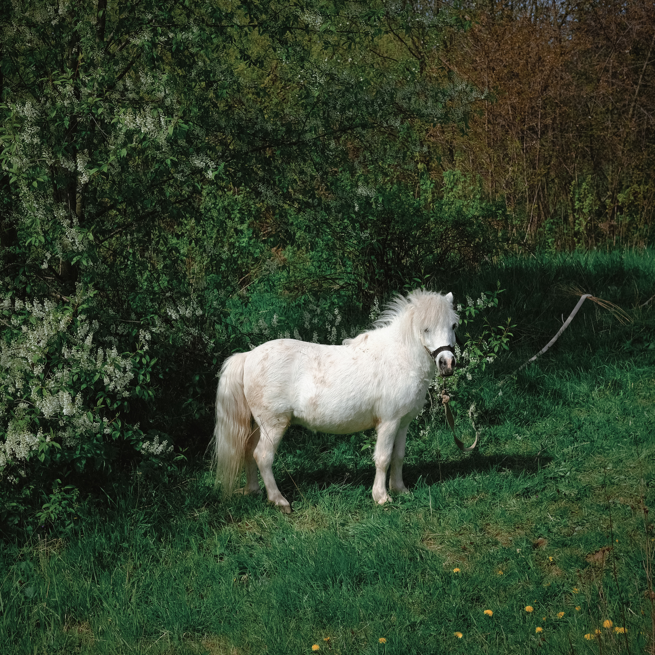 Природа вещей и надежд. Works