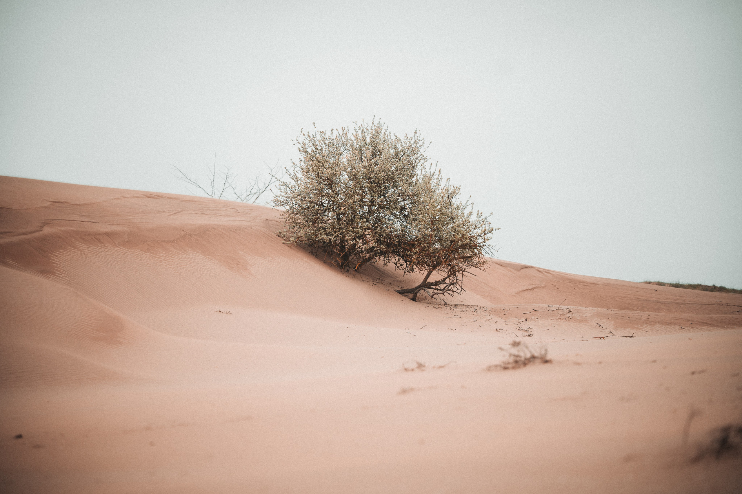 Худший фотограф из Чеченской республики!
