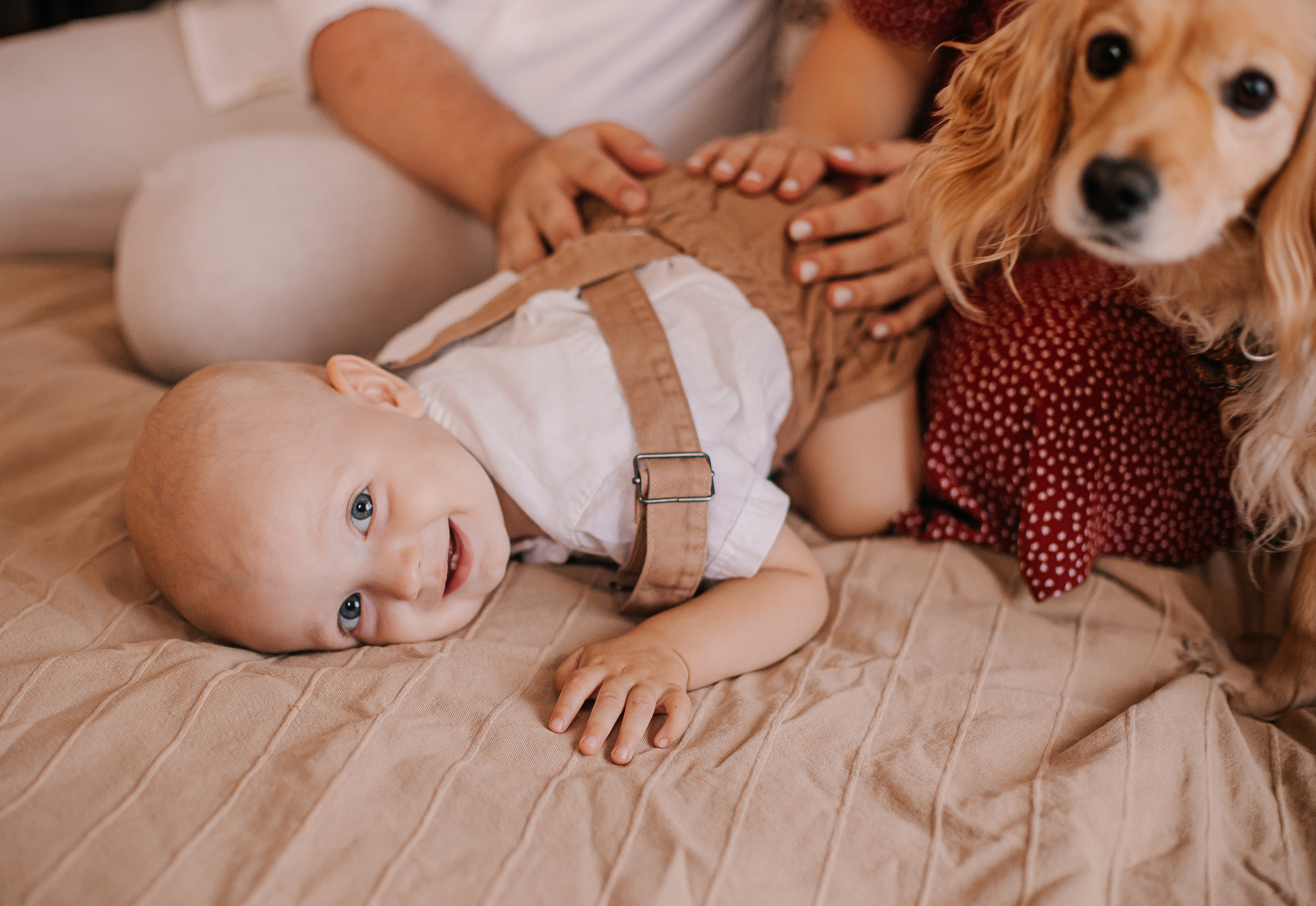 Илюше 1 годик!. Женский и семейный фотограф в Краснодаре Яна Теплая