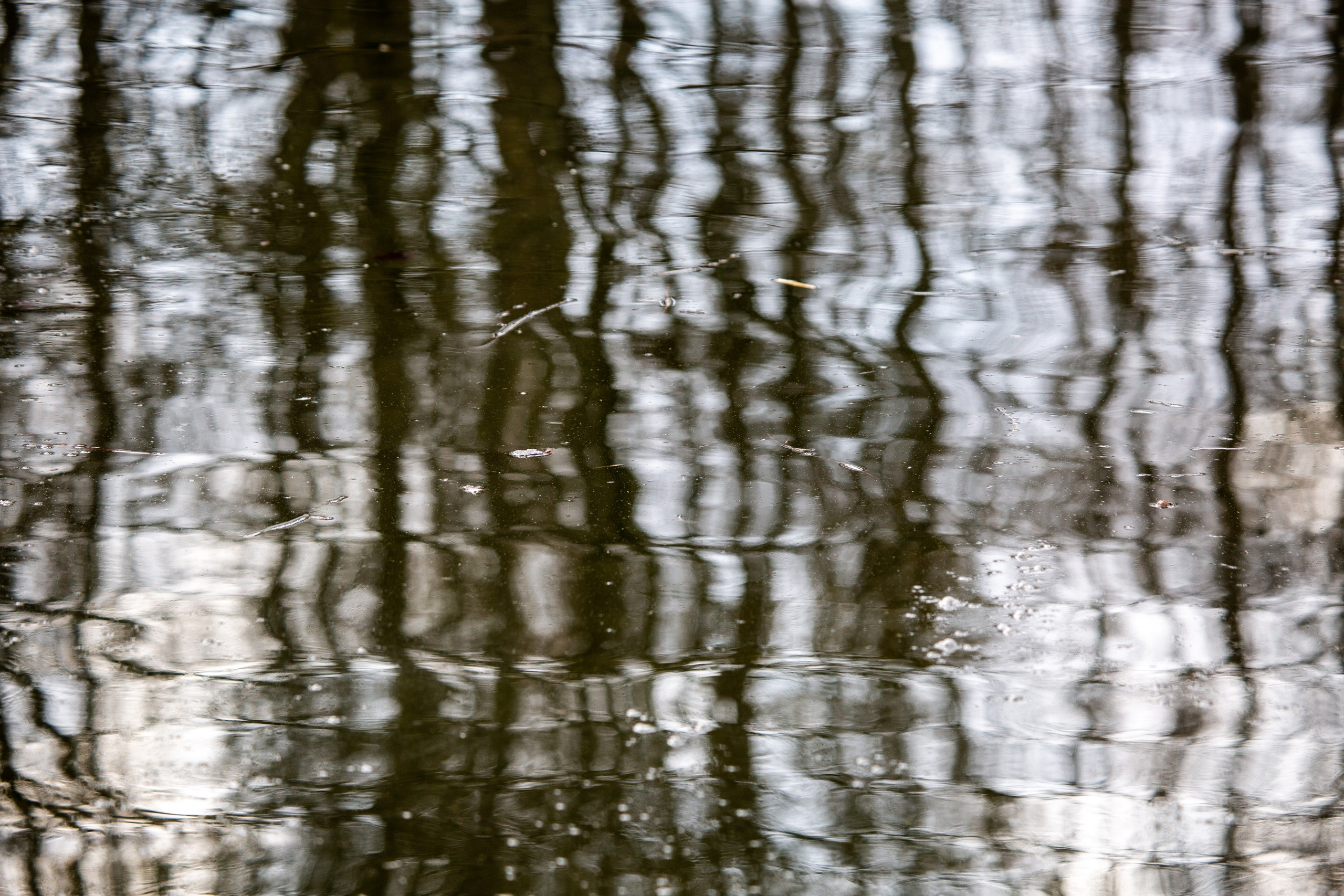 Весенняя фотопрогулка. Главная