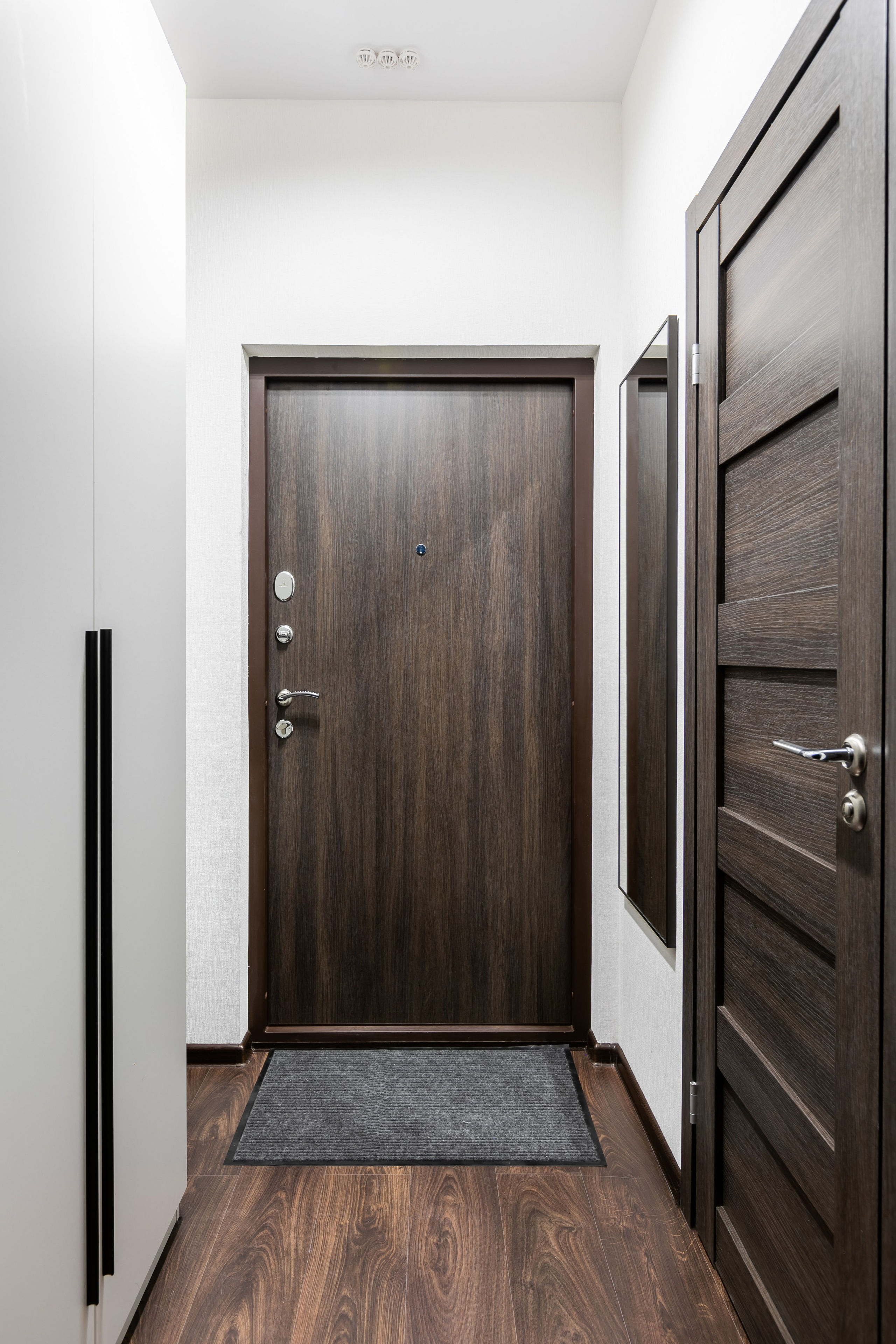 Стрижи. Главная