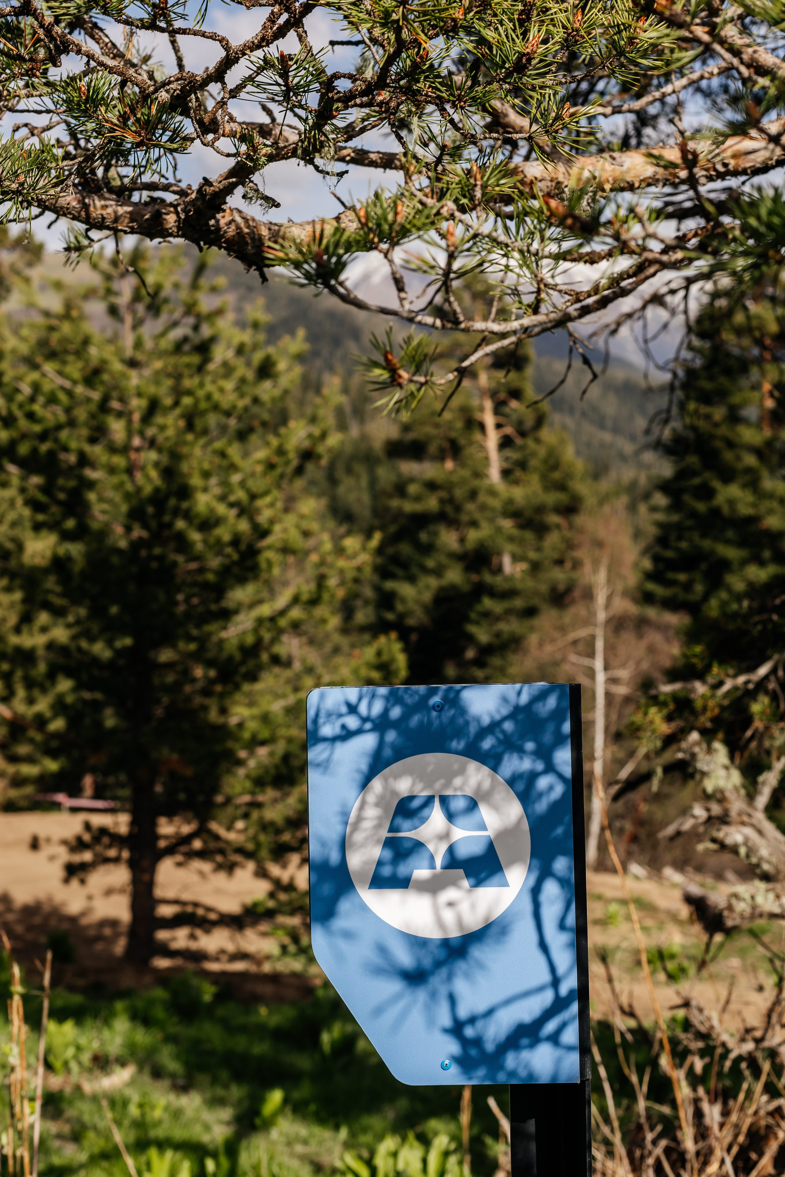 Animal. Фотограф Краснодар Марго Хелбен