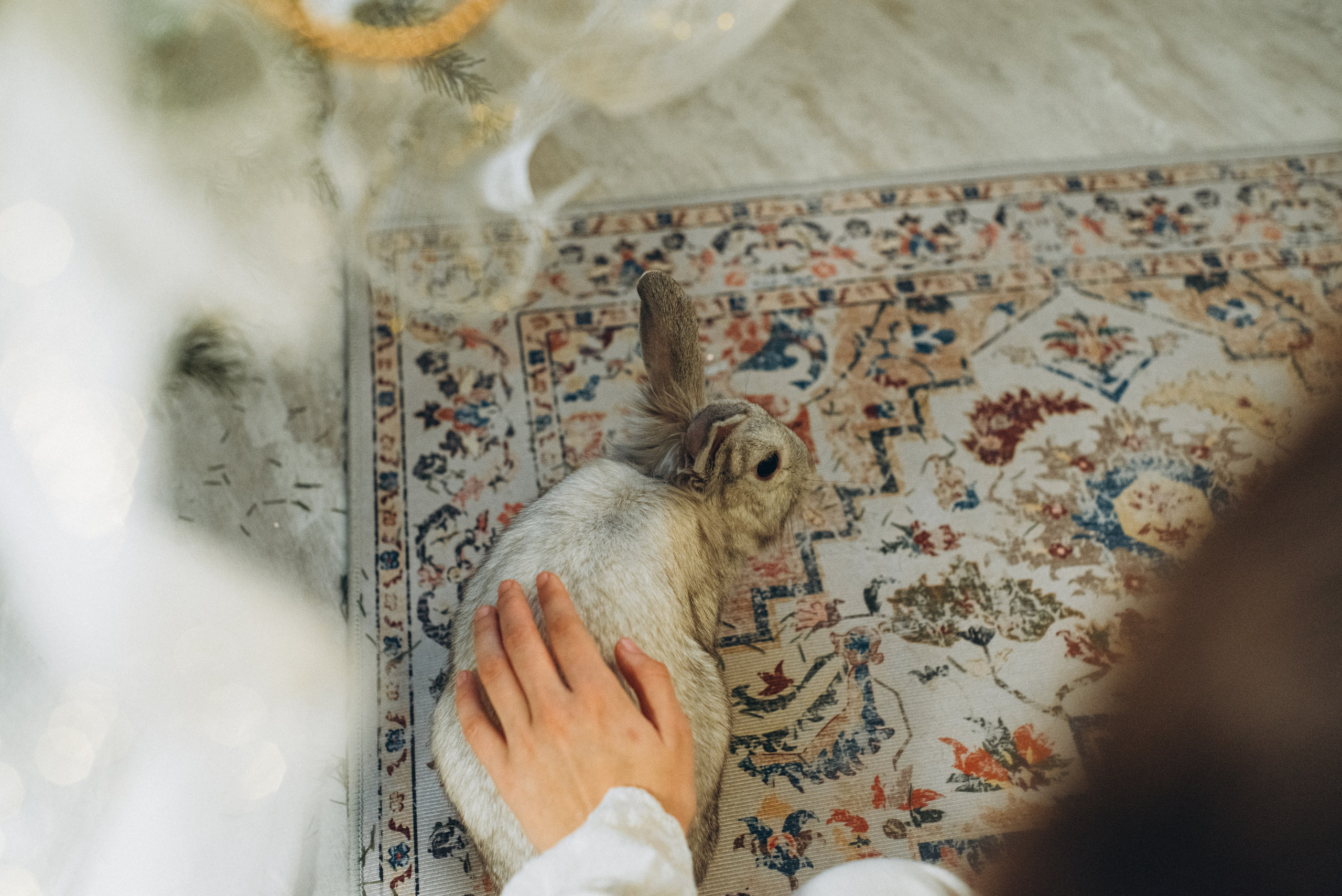 Волшебство внутри тебя. Фотограф Катерина Тюрина. Саратов