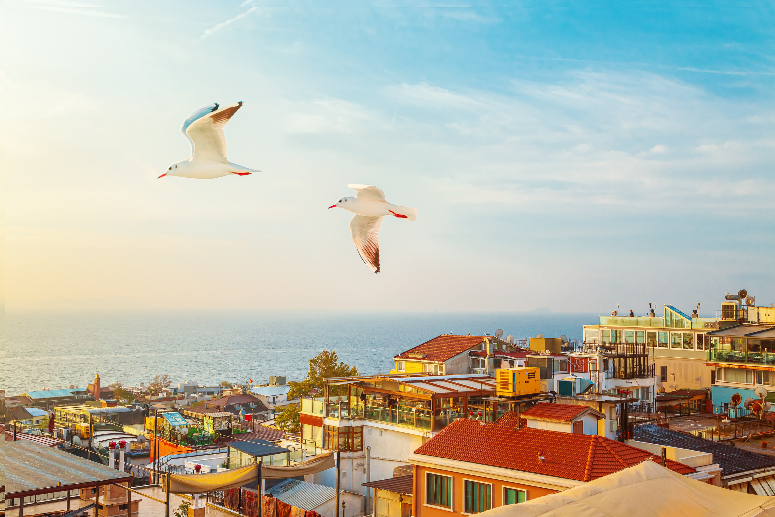 Тревел-фотограф Елизавета Ларионова